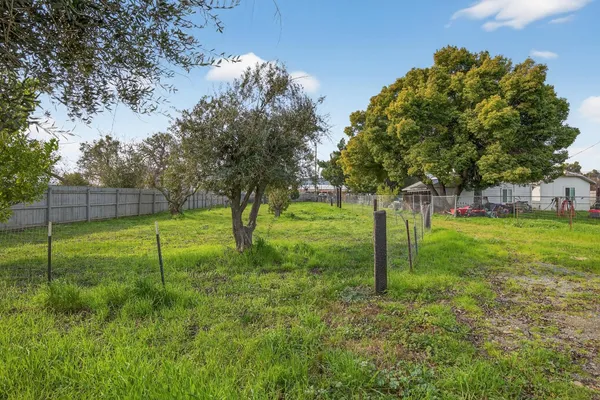 a view of a backyard with large trees