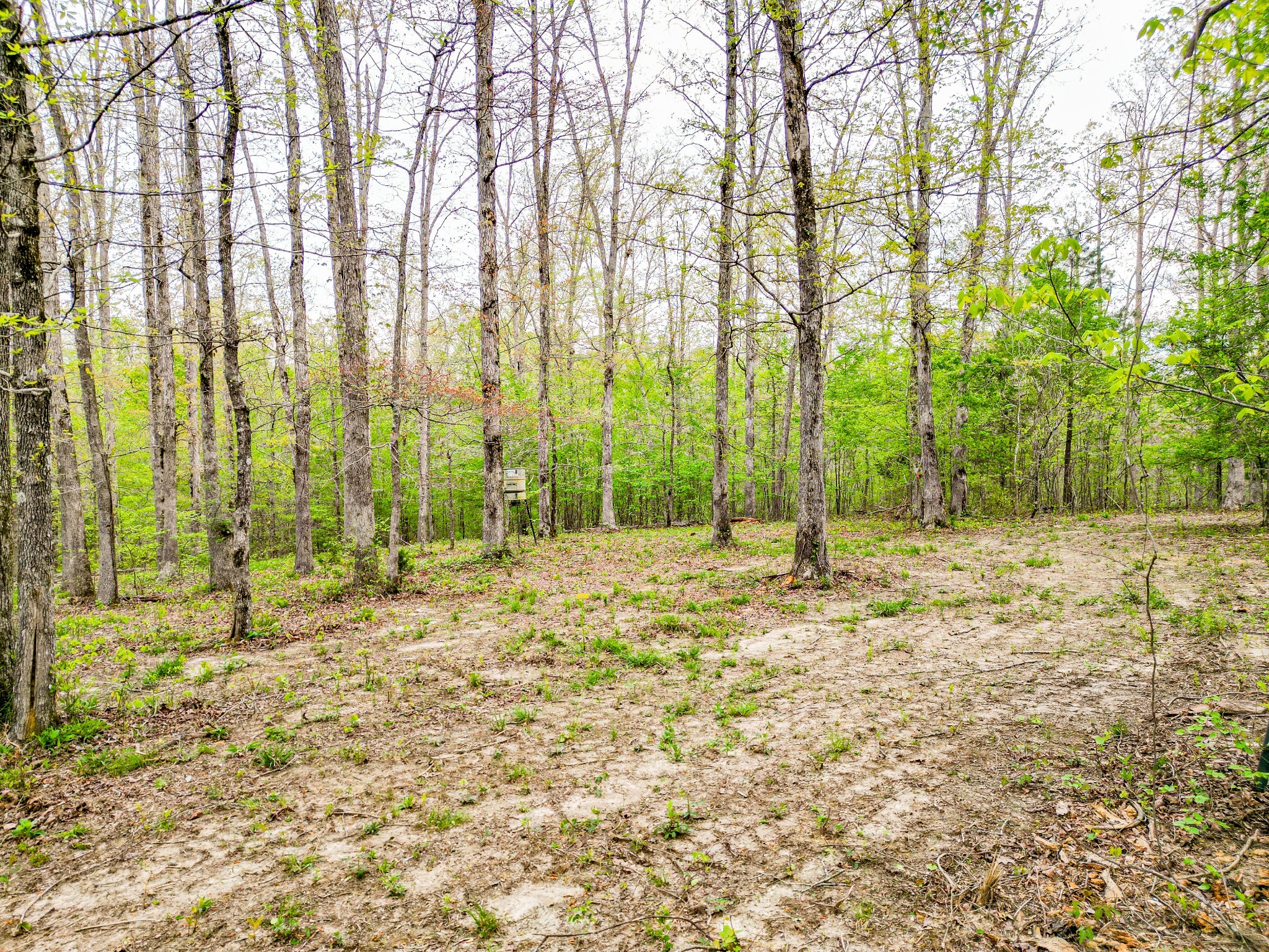 920 Mason Bates Bend Road Centerville, TN 37033 - Photo 72 of 82 Gallery Image 72