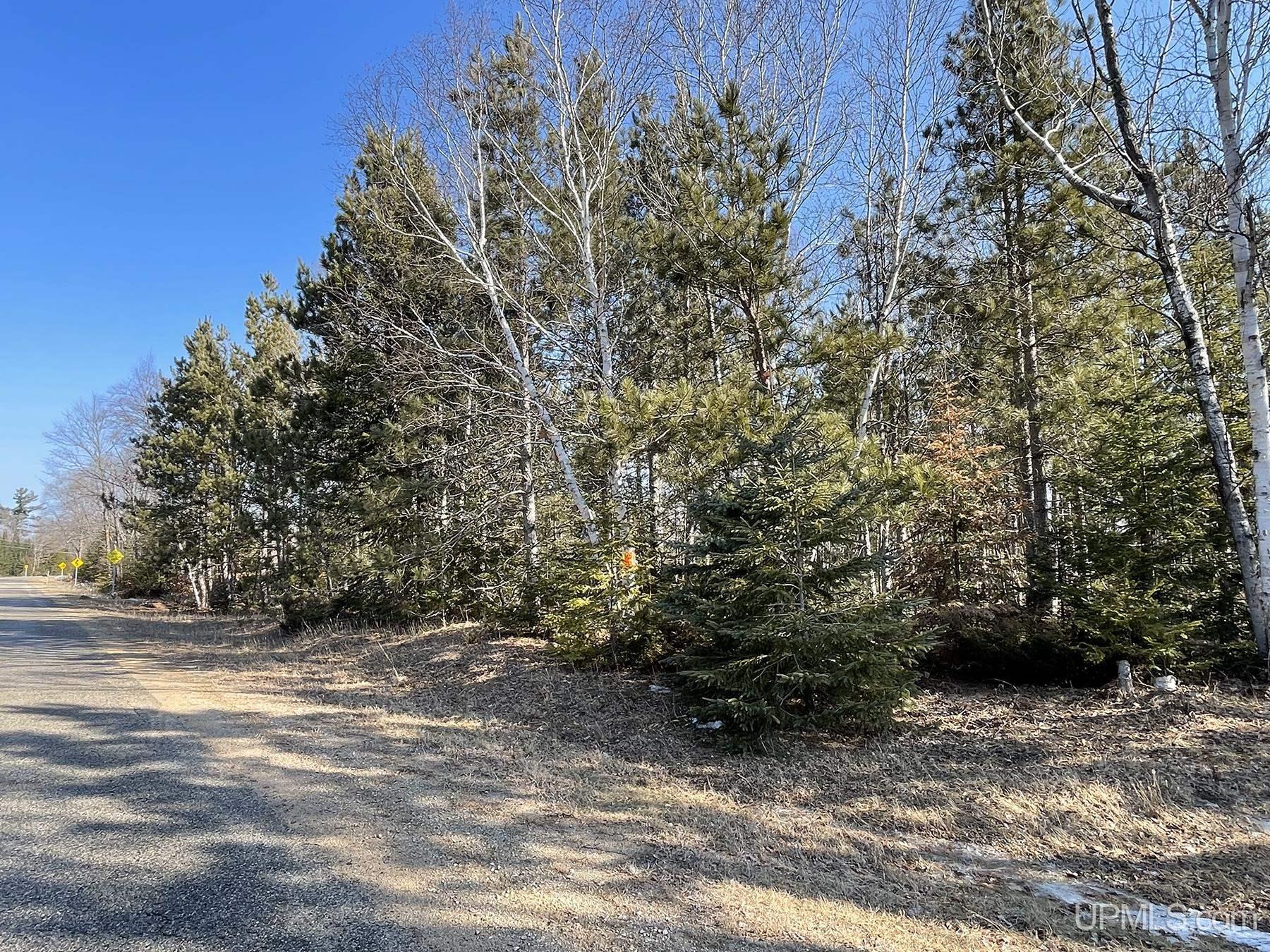 2330 S Little Harbor Road Manistique, MI 49854 - Photo 13 of 55