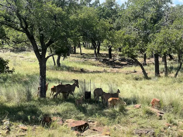 $47,500 | 2266 Stagecoach Trail, Gordon, TX 76453