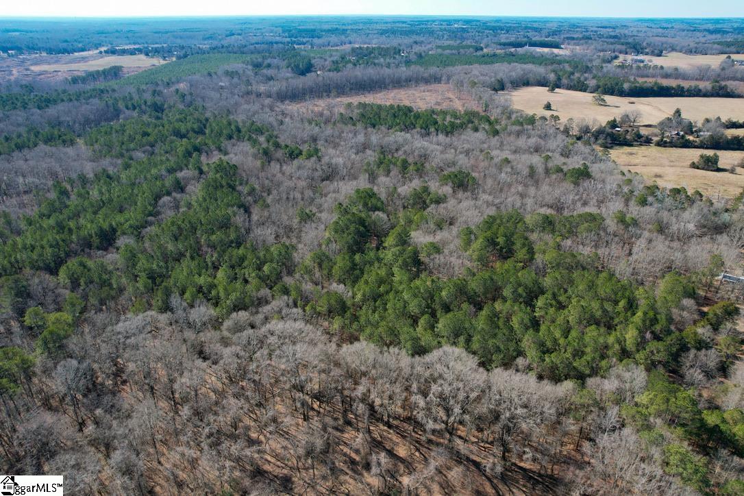 0 Gene Fleming Road, Unit LOT 1) Iva, SC 29655 - Photo 14 of 33