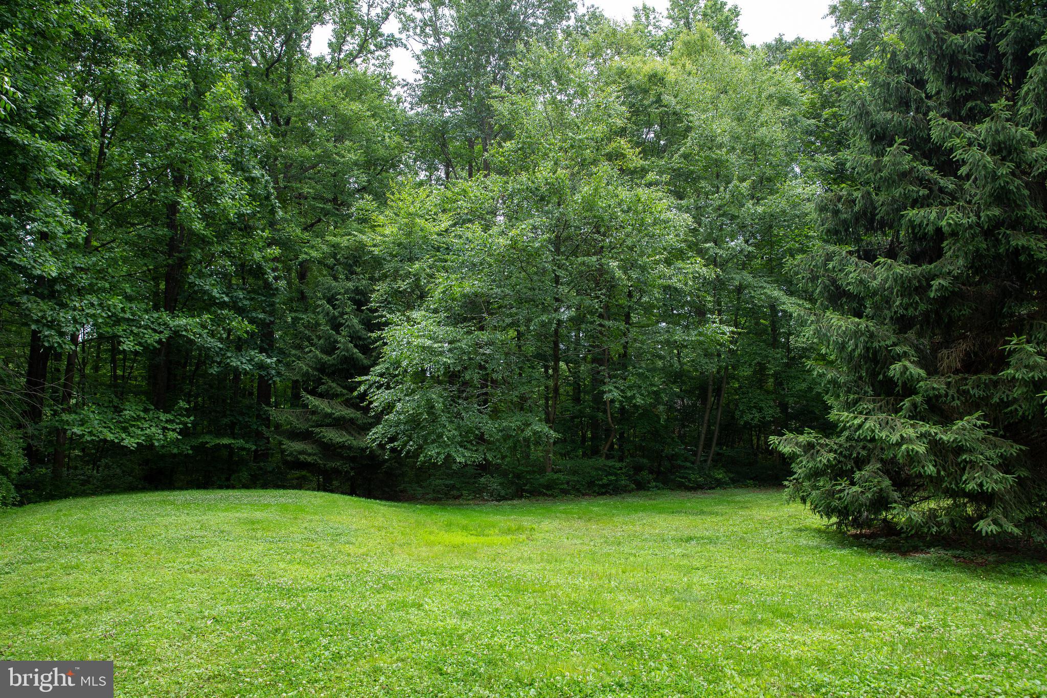 1431 Mission Road Quakertown, PA 18951 - Photo 28 of 30 Back Yard