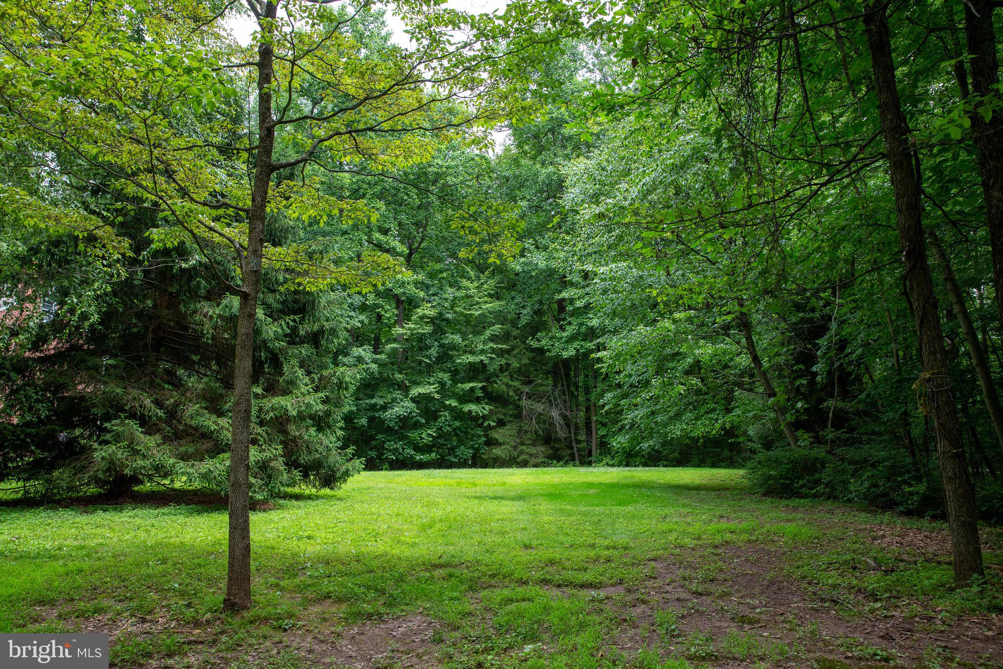 1431 Mission Road Quakertown, PA 18951 - Photo 30 of 30 Back Yard