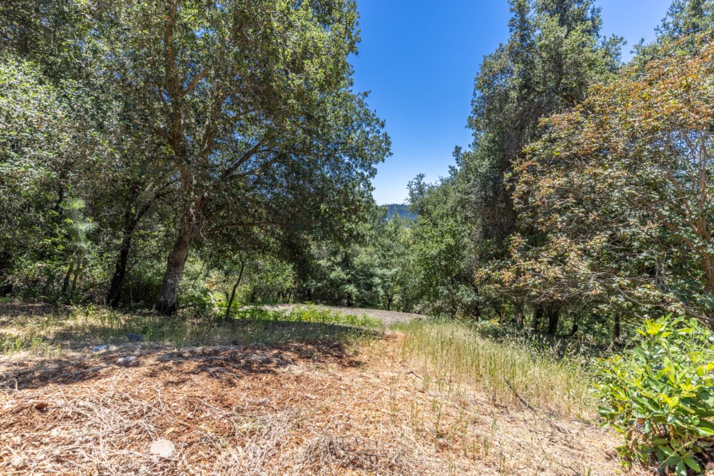 16214 Redwood Lodge Road Los Gatos, CA 95033 - Photo 25 of 29