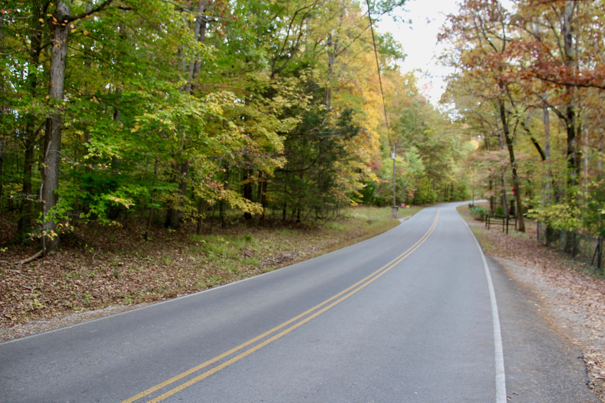 a view of a road with a yard