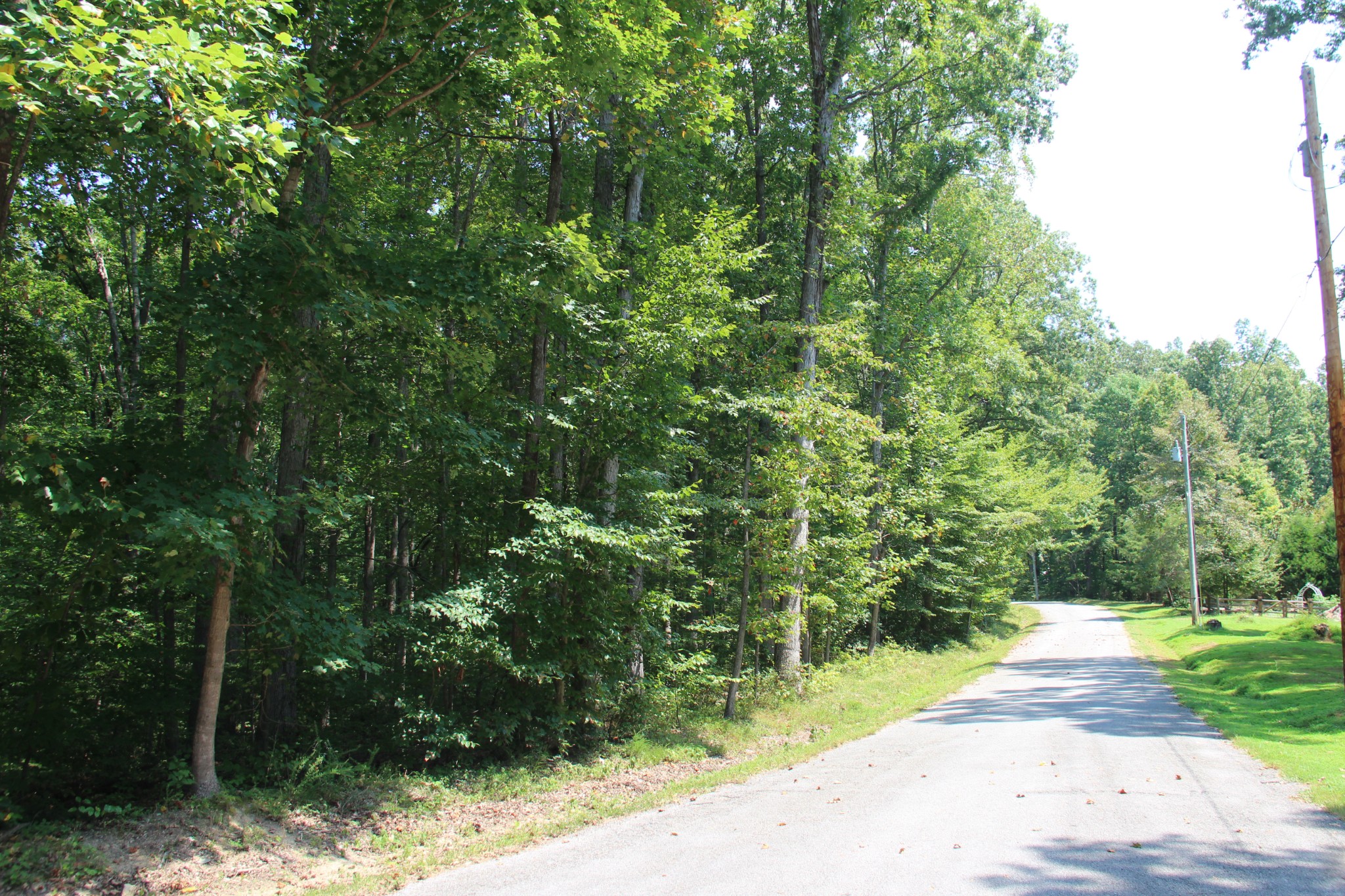 0 Jackson Cabin Road Kingston Springs, TN 37082 - Photo 11 of 19 a view of a yard with plants and large trees