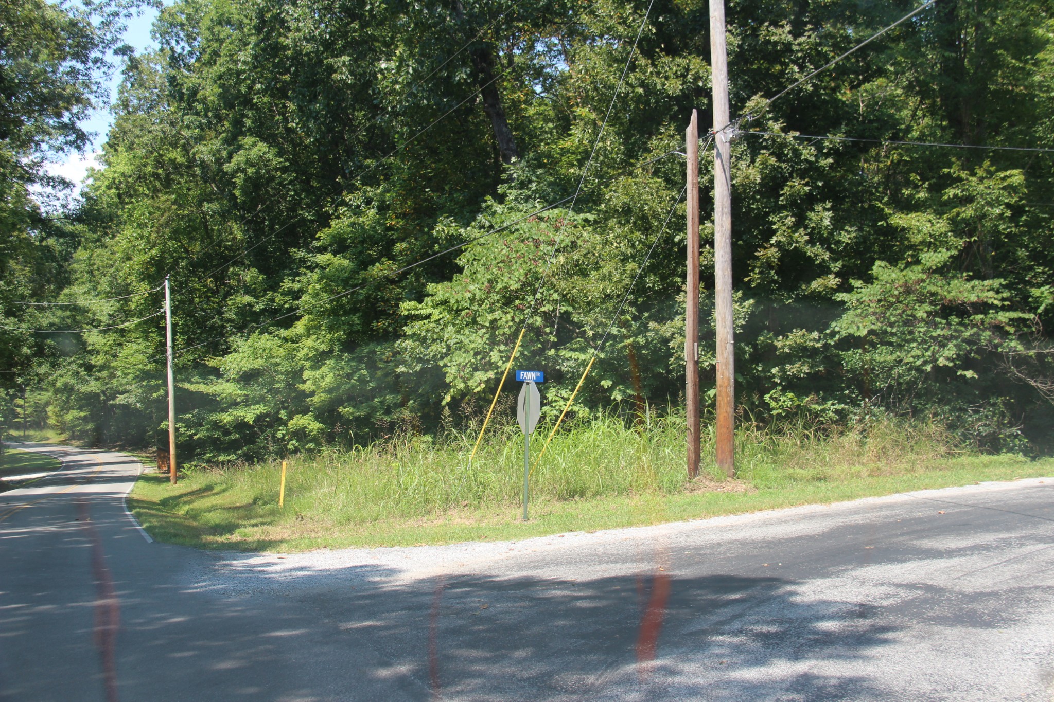 0 Jackson Cabin Road Kingston Springs, TN 37082 - Photo 12 of 19 a view of a yard