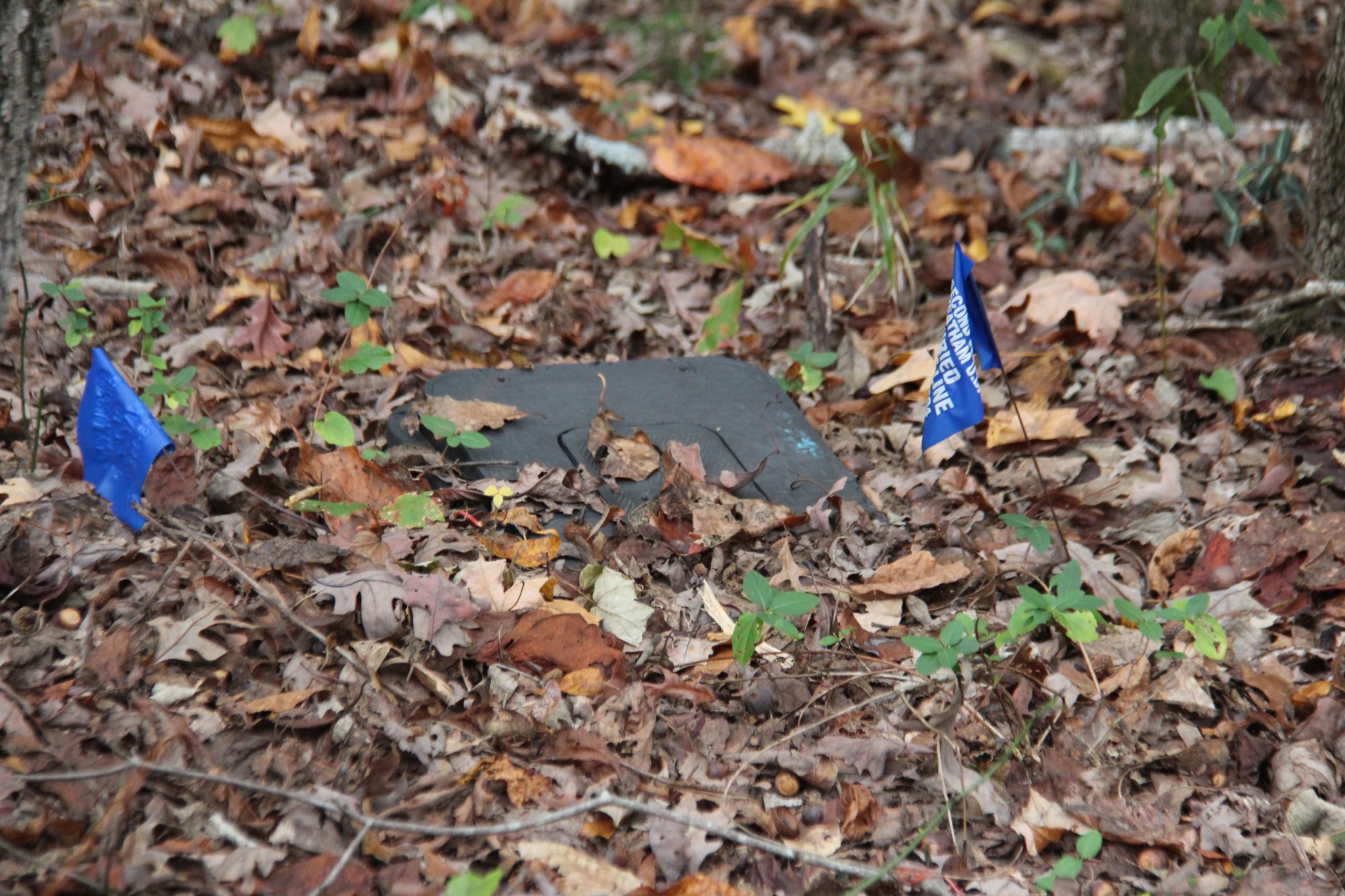 0 Jackson Cabin Road Kingston Springs, TN 37082 - Photo 18 of 19