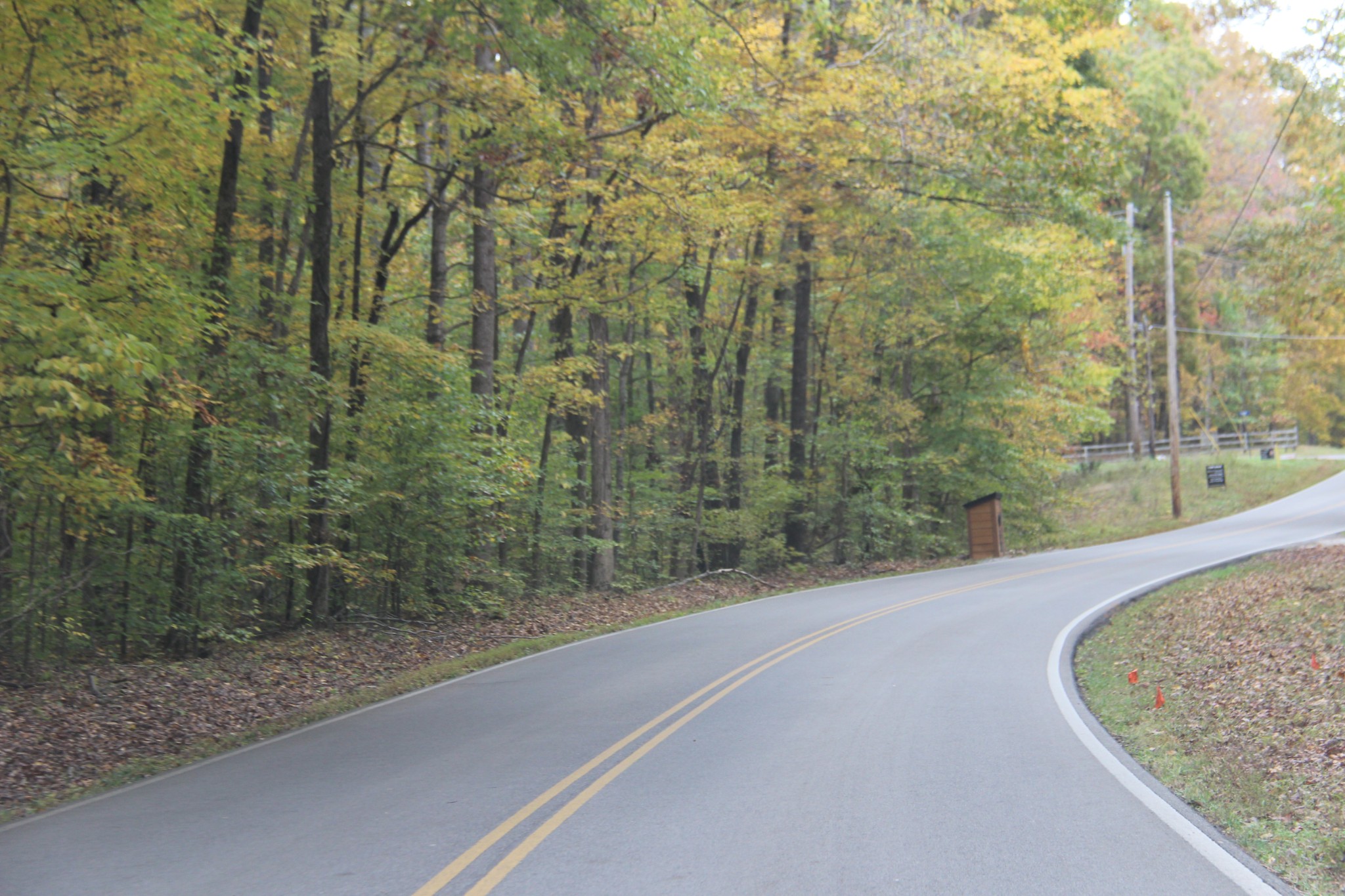 0 Jackson Cabin Road Kingston Springs, TN 37082 - Photo 19 of 19 a view of a bathtub in a forest
