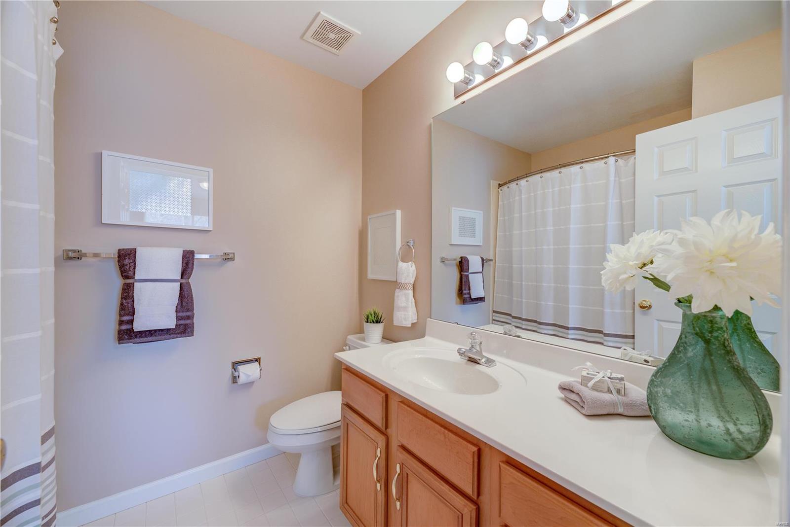 1280 Bluffview Ridge Drive Chesterfield, MO 63005 - Photo 19 of 27 Gallery Image 19