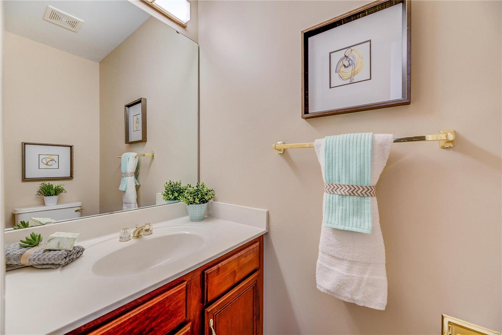 1280 Bluffview Ridge Drive Chesterfield, MO 63005 - Photo 23 of 27 Gallery Image 23