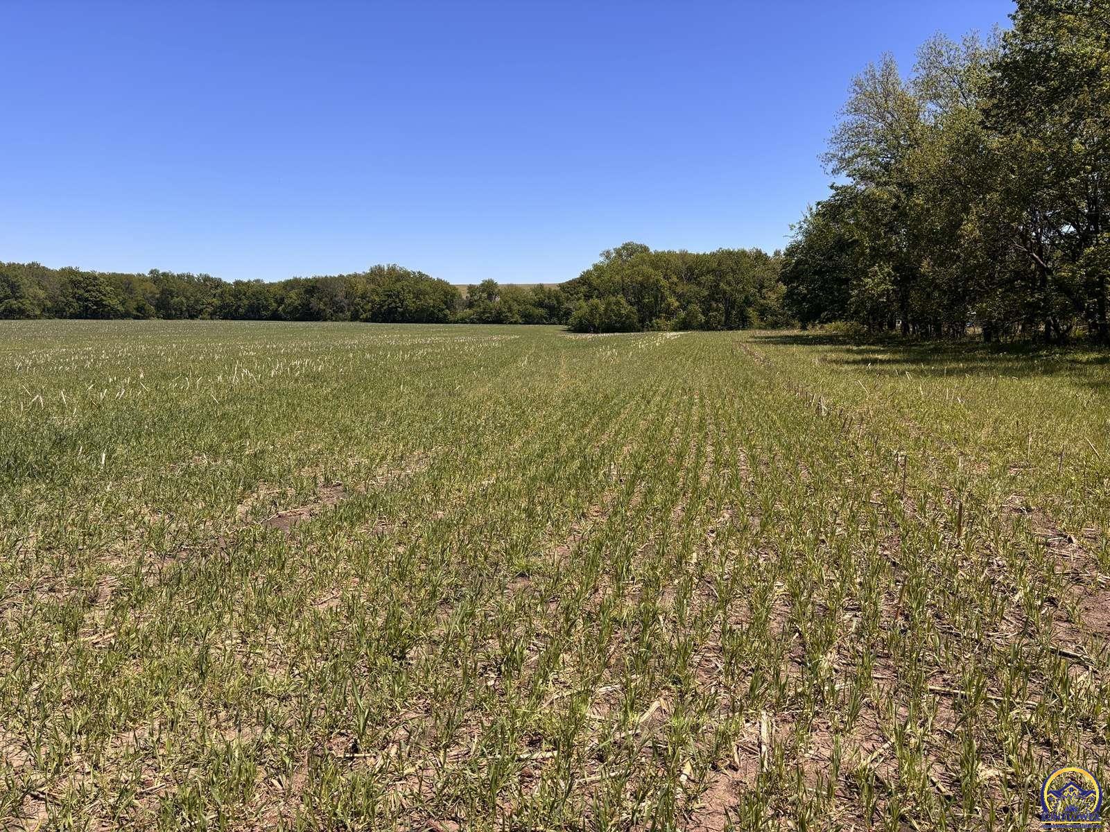 0 Silver Creek Road Cedar Point, KS 66843 - Photo 24 of 99 Gallery Image 24