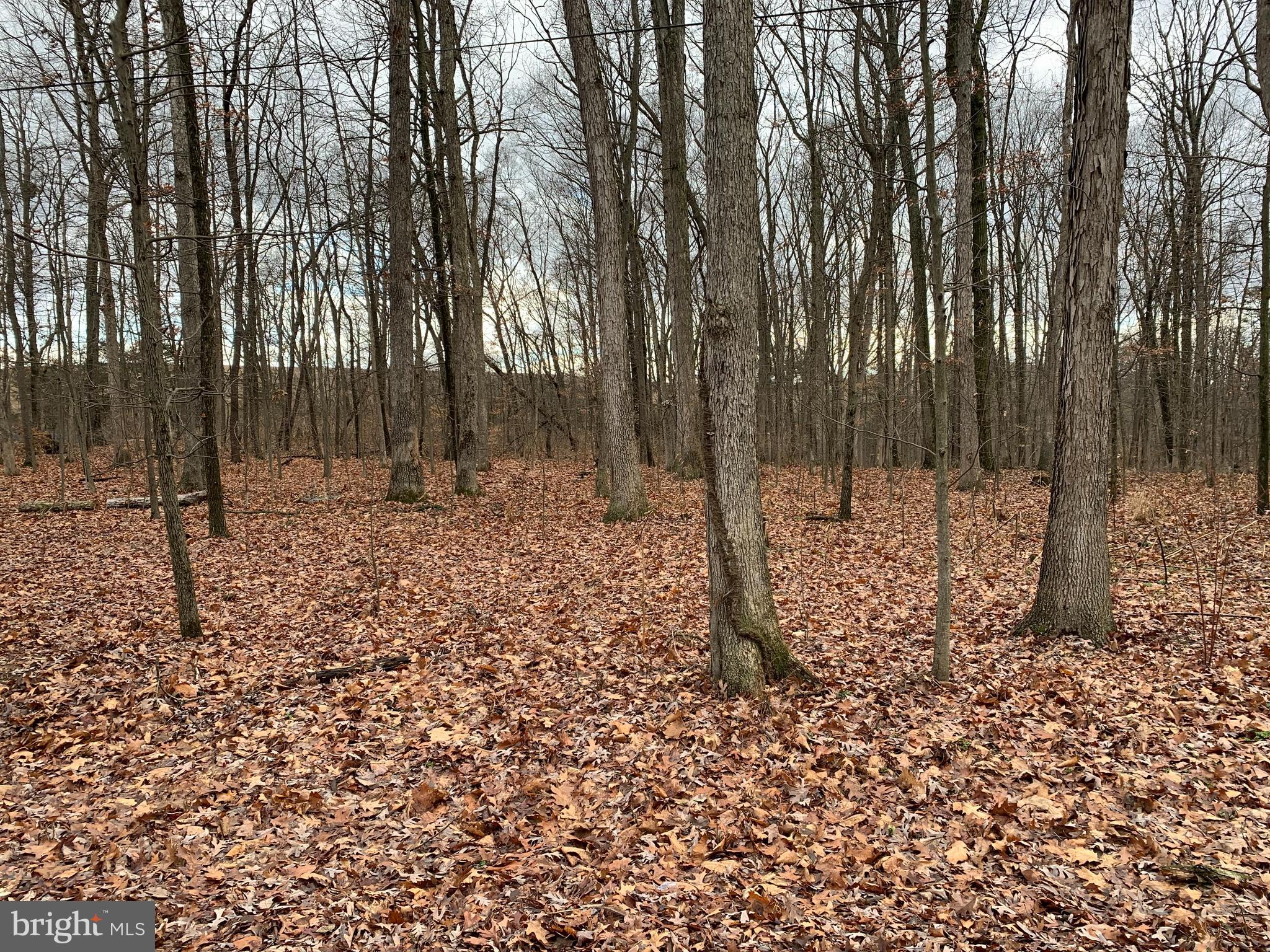 0 South Rabbit Road South Greencastle, PA 17225 - Photo 2 of 3 Build your dream home here!!