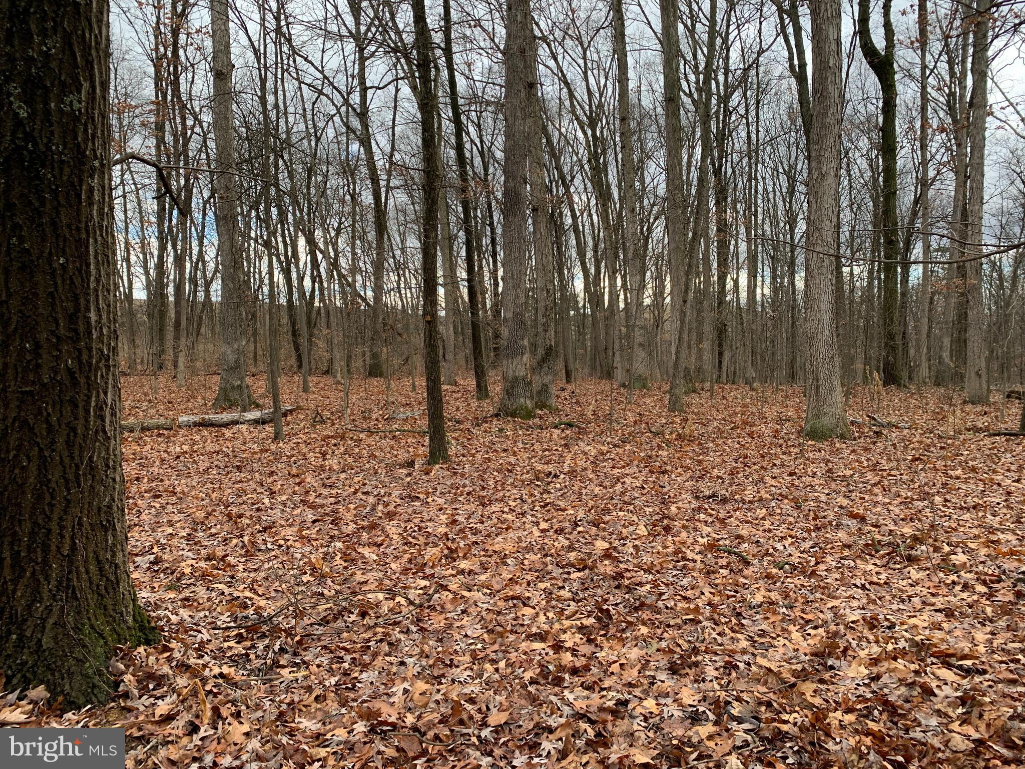 0 South Rabbit Road South Greencastle, PA 17225 - Photo 3 of 3 NIce!!!
