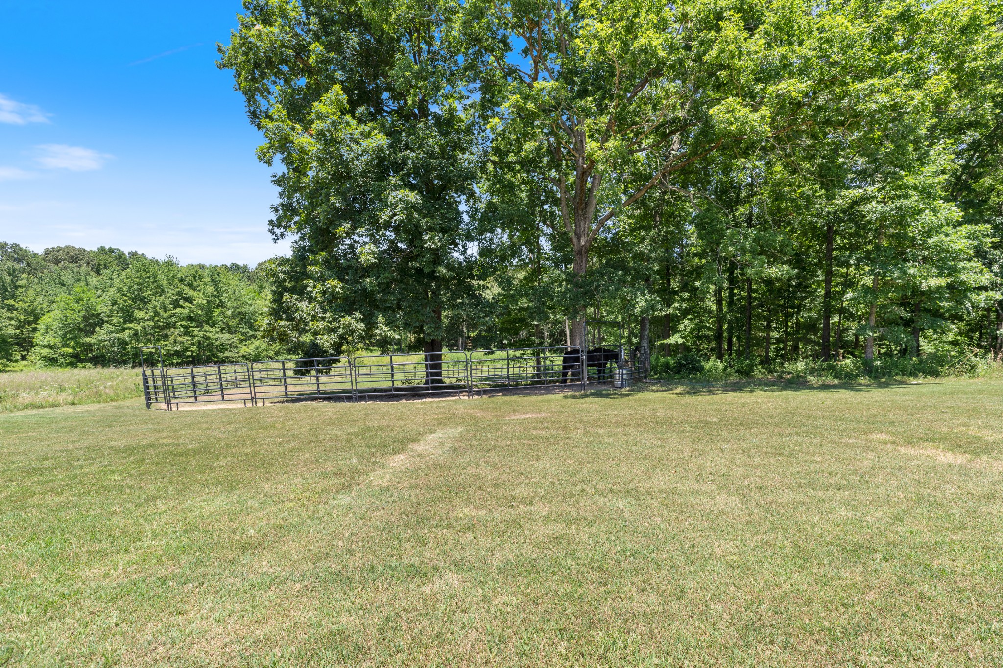 390 Howard Road White Bluff, TN 37187 - Photo 5 of 33 Gallery Image 5