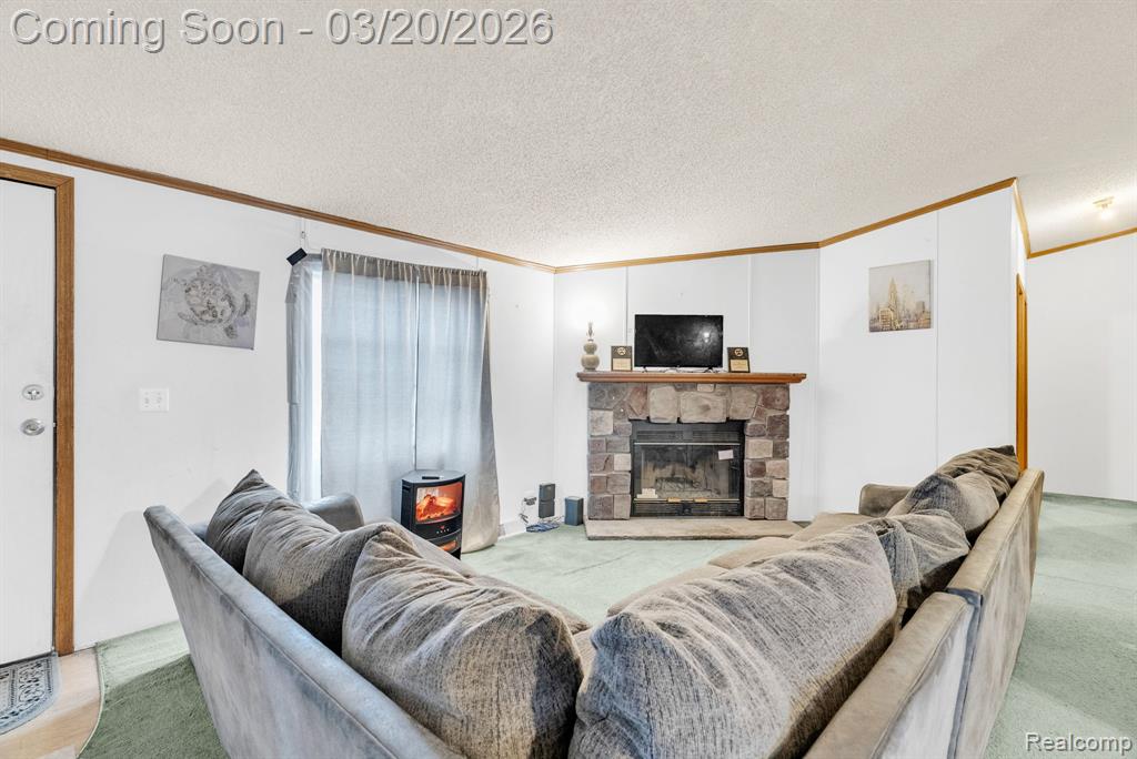 7151 Martin Road Imlay City, MI 48444 - Photo 2 of 49