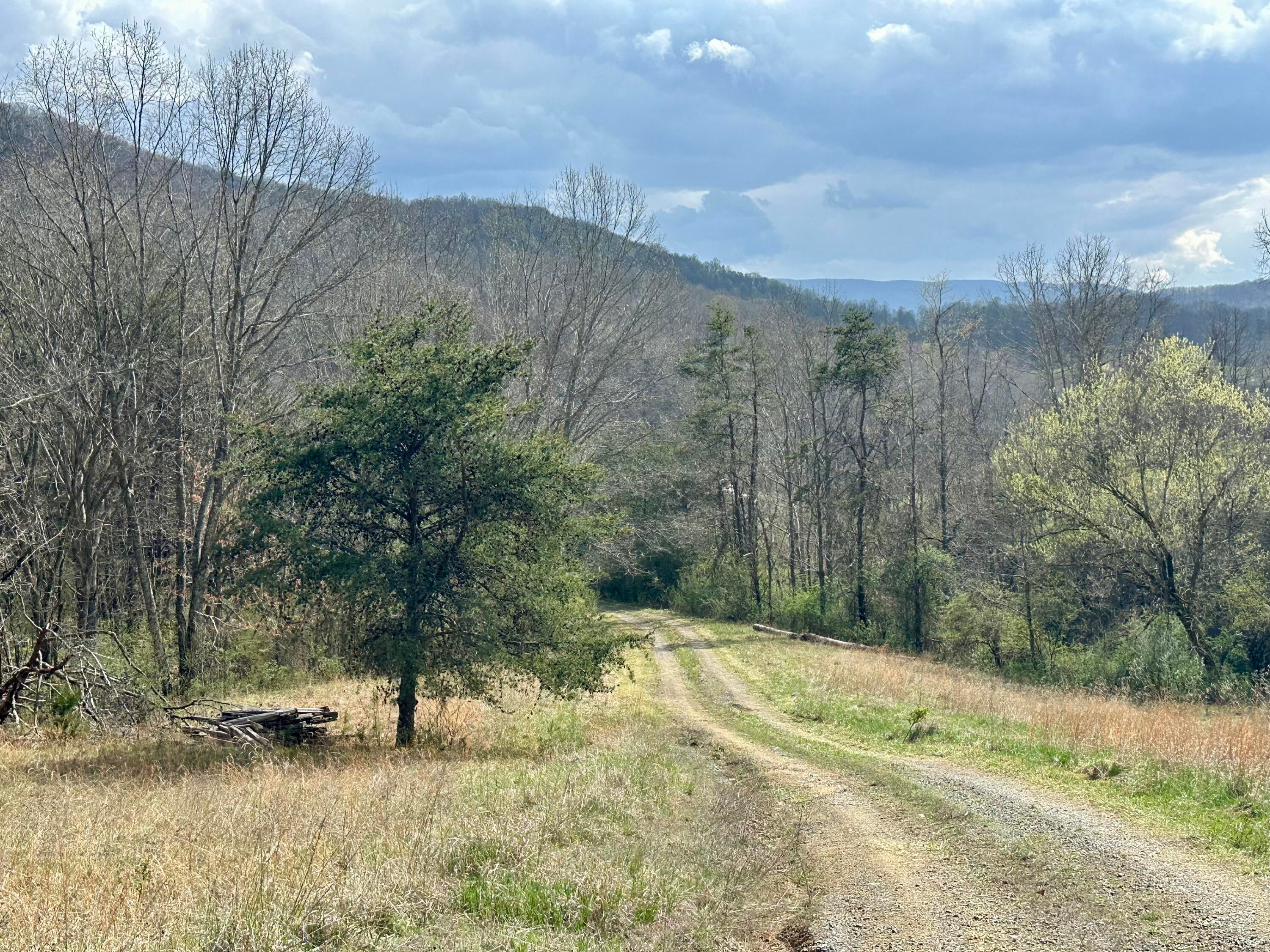 1265 Willow Bend Road Lindside, WV 24951 - Photo 49 of 60 IMG_3480