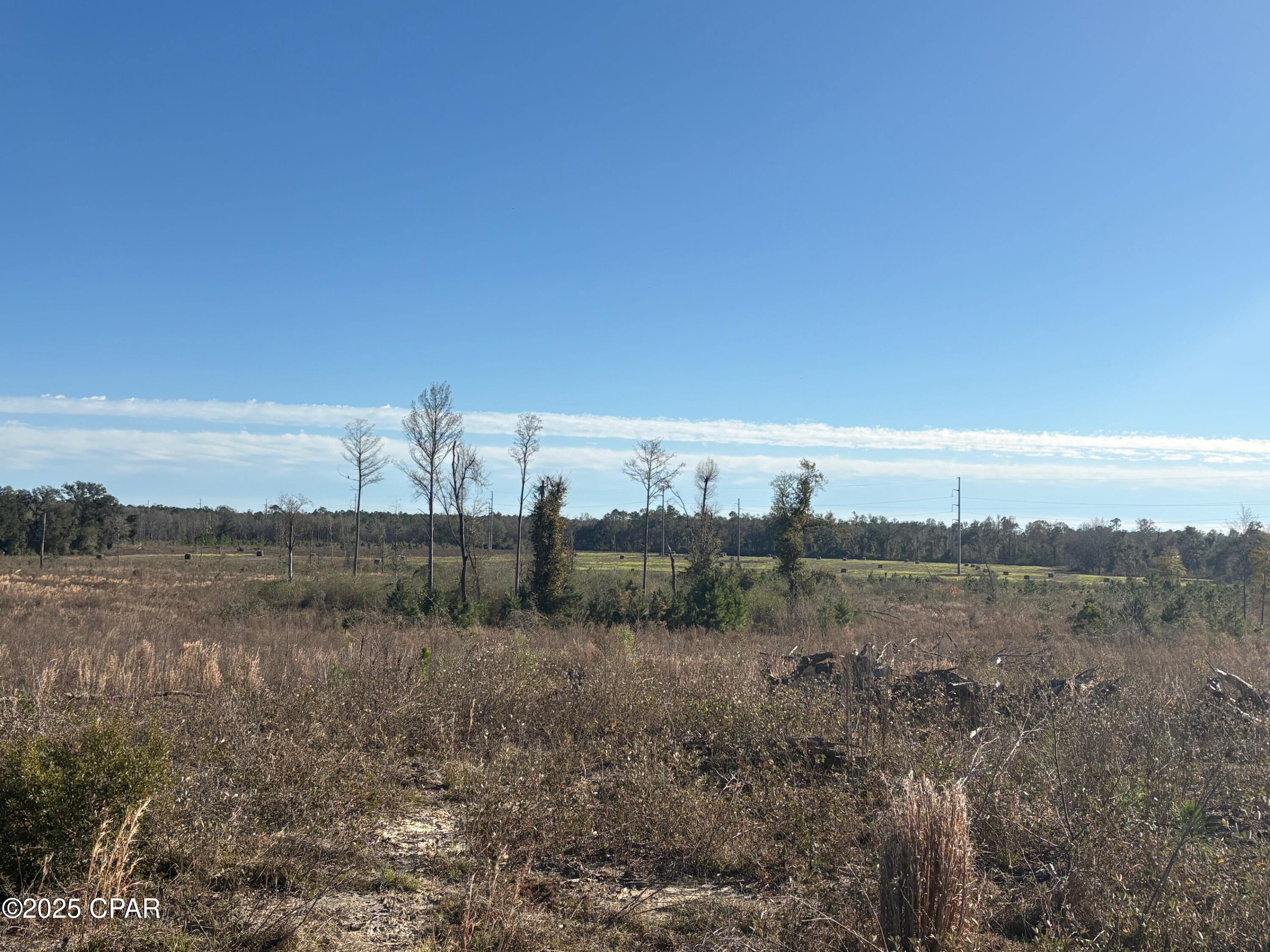 4980 Heisler Road Graceville, FL 32440 - Photo 1 of 73 Gallery Image 1