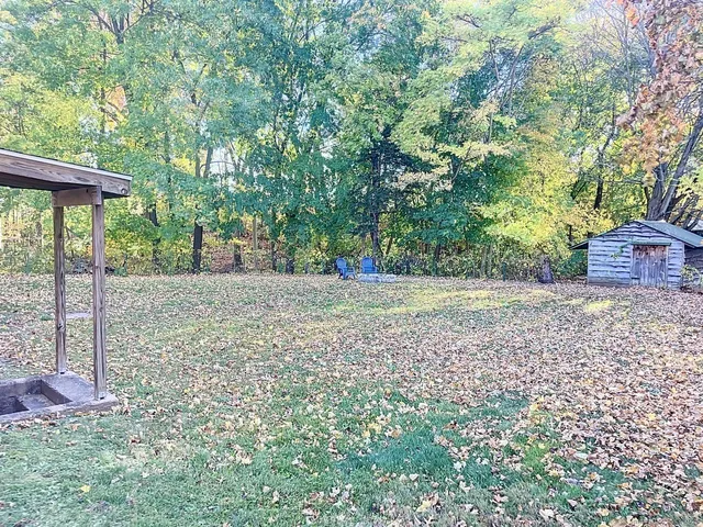 a view of a yard with plants and a tree