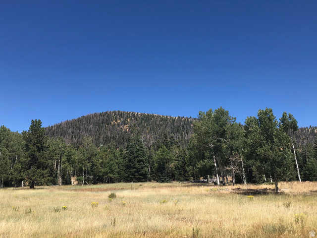 North Fork Road South Duck Creek Village, UT 84762 - Photo 3 of 17 Mountain view featuring a heavily wooded area and rural landscape