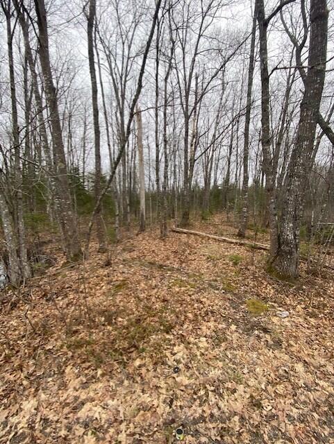 Tbd Mohawk Road Enfield, ME 04493 - Photo 2 of 5 thumbnail_IMG_6337
