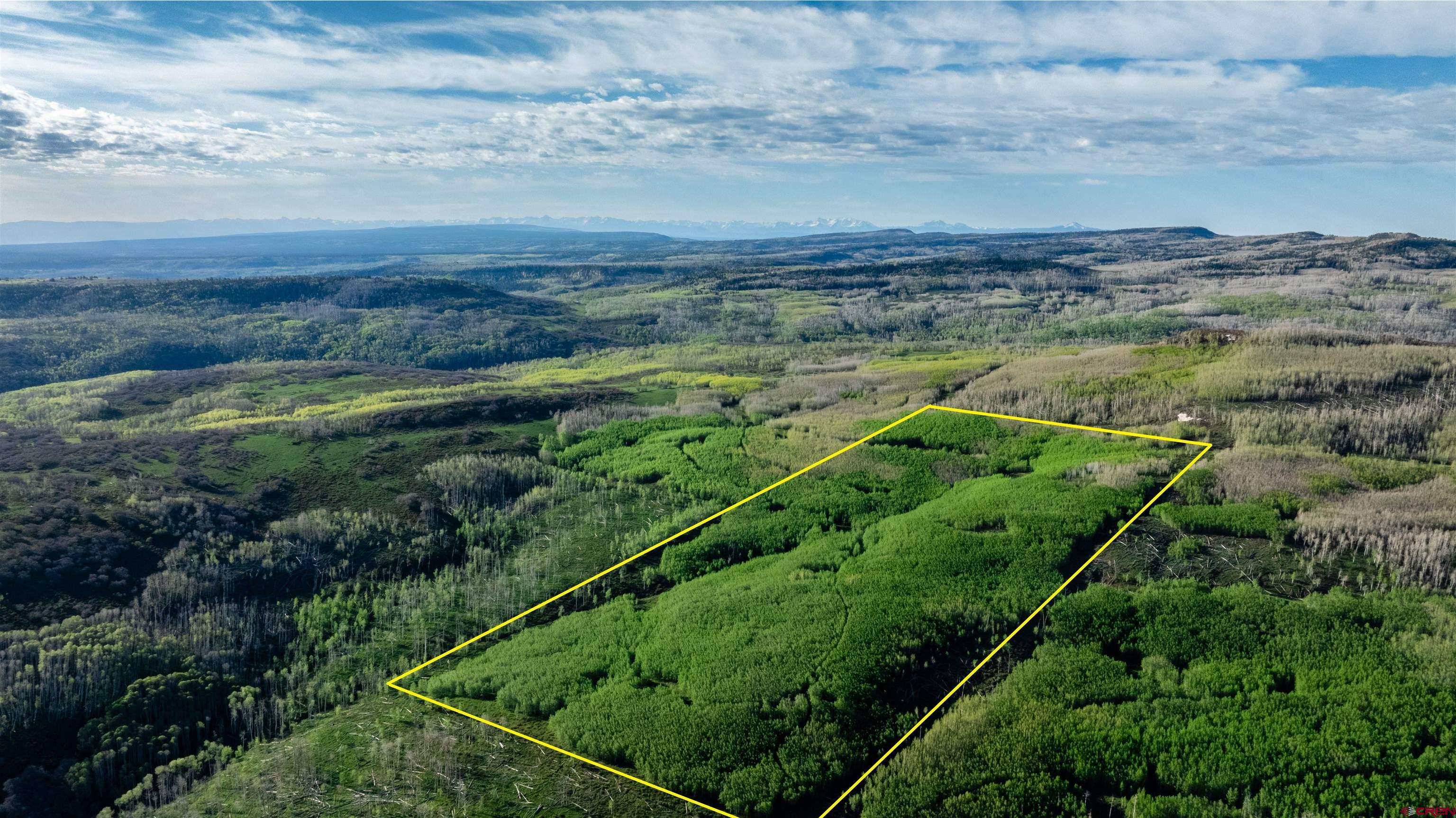 a view of a field with an ocean