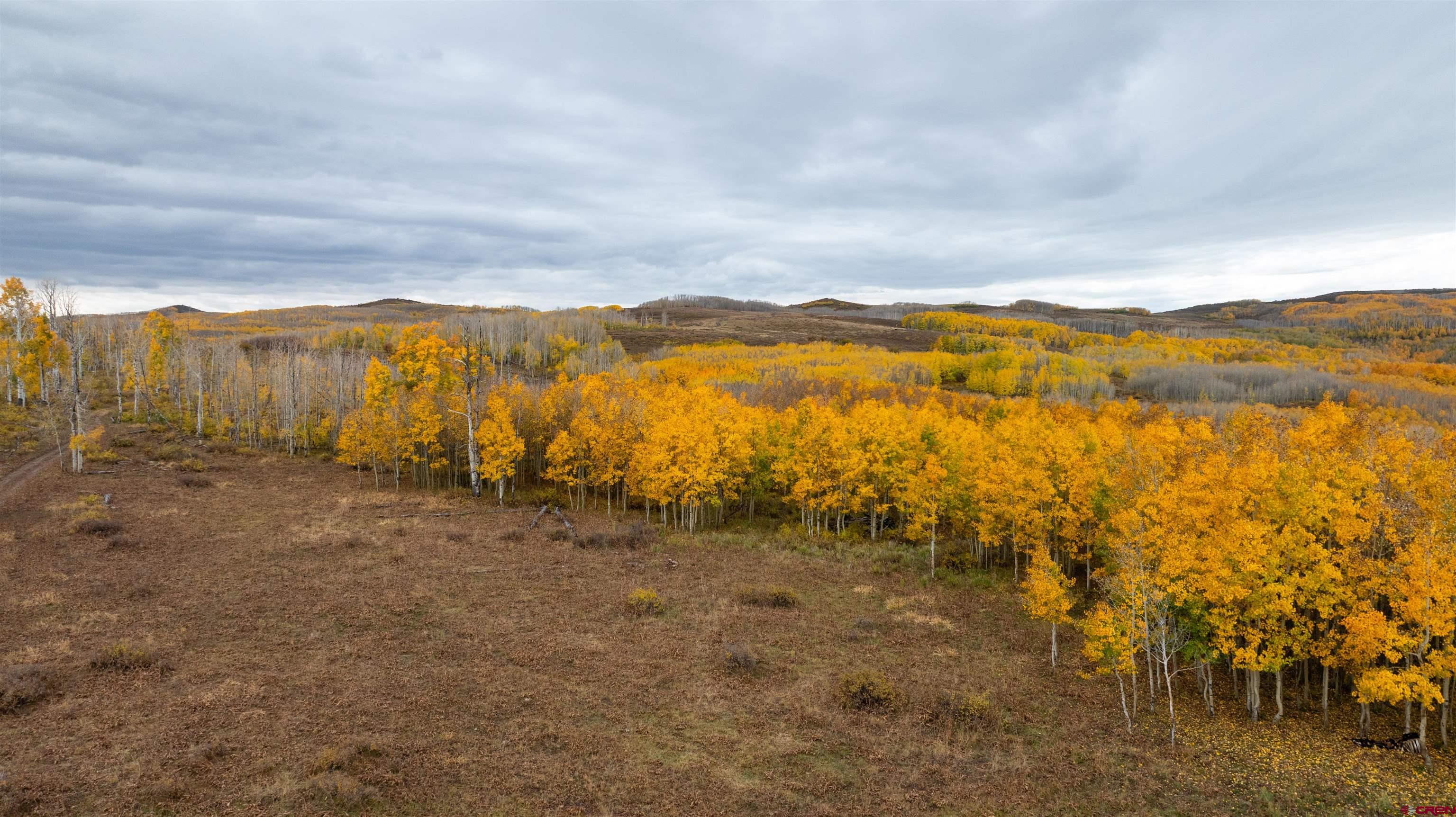Tbd Divide Road Whitewater, CO 81527 - Photo 14 of 24 a view of an ocean