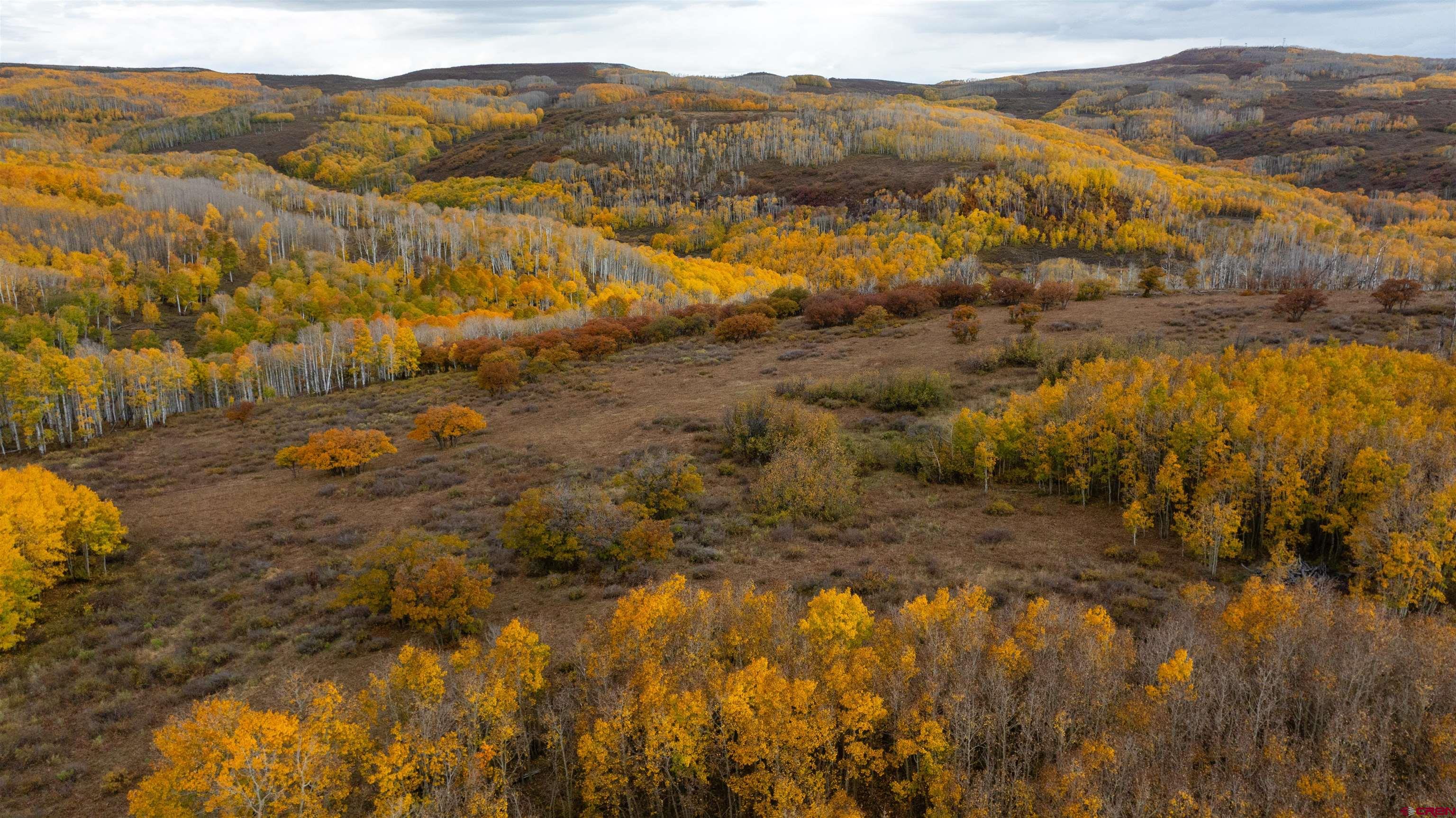 Tbd Divide Road Whitewater, CO 81527 - Photo 16 of 24 a view of mountains and mountain