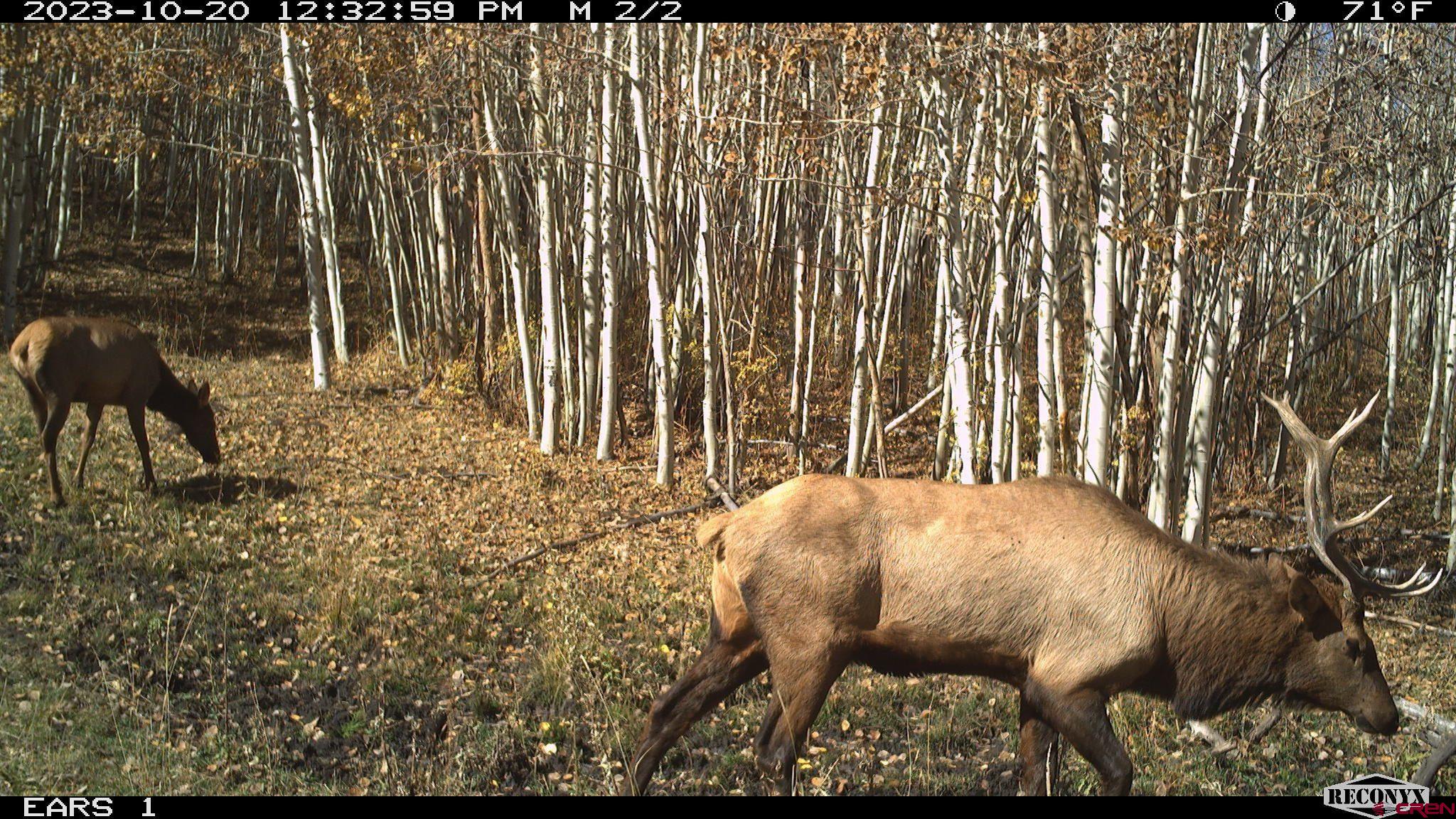Tbd Divide Road Whitewater, CO 81527 - Photo 18 of 24