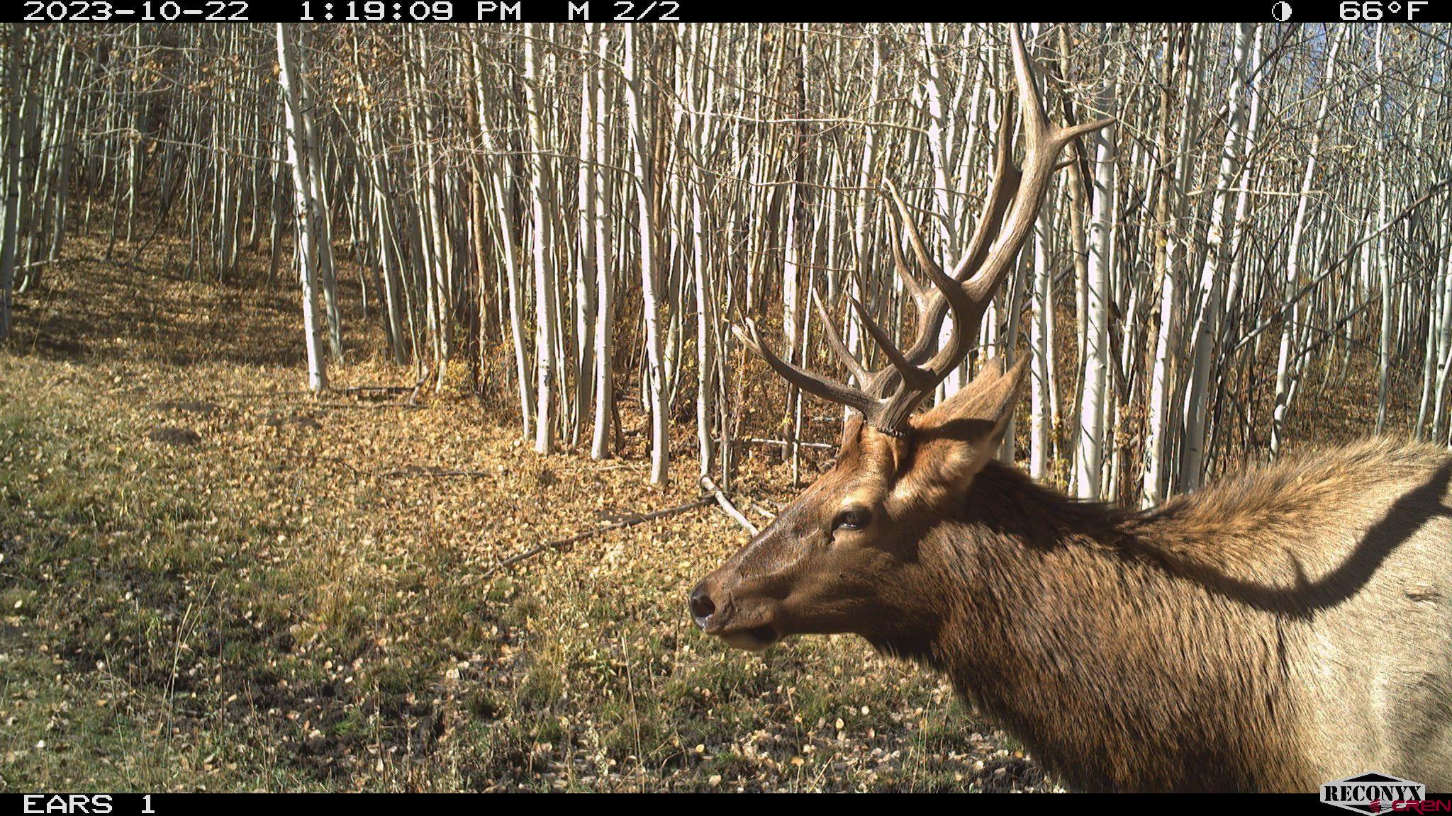 Tbd Divide Road Whitewater, CO 81527 - Photo 19 of 24