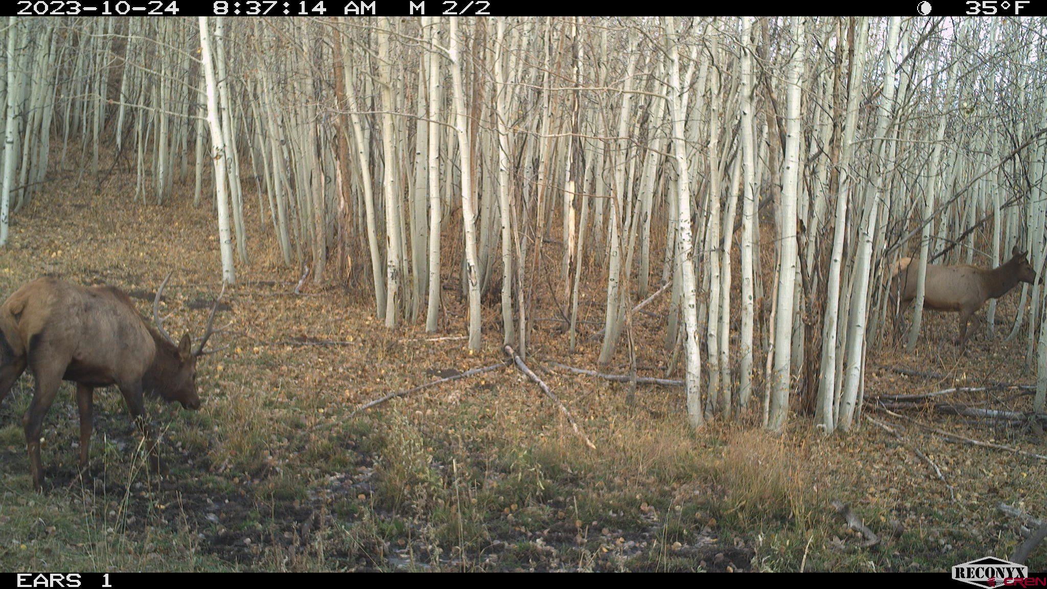 Tbd Divide Road Whitewater, CO 81527 - Photo 20 of 24 a view of outdoor space with green space
