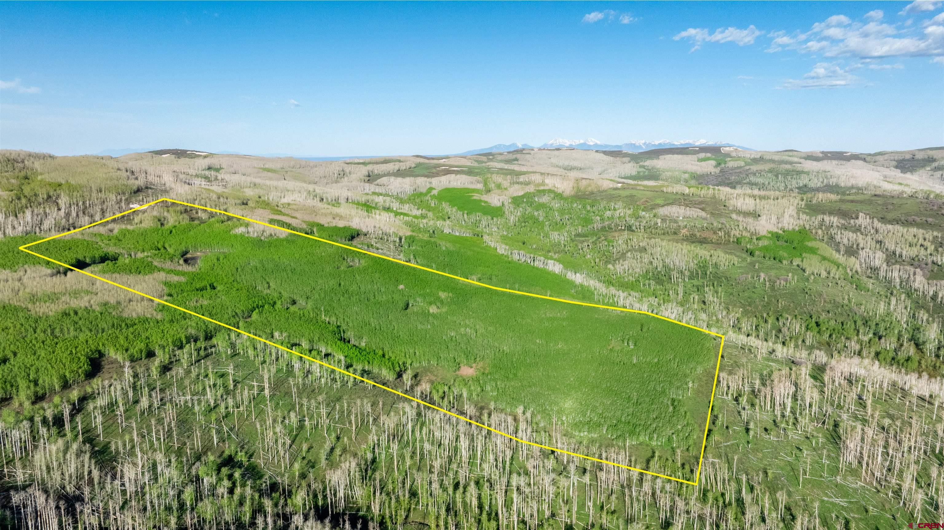 Tbd Divide Road Whitewater, CO 81527 - Photo 2 of 24 a view of a lush green field with an ocean
