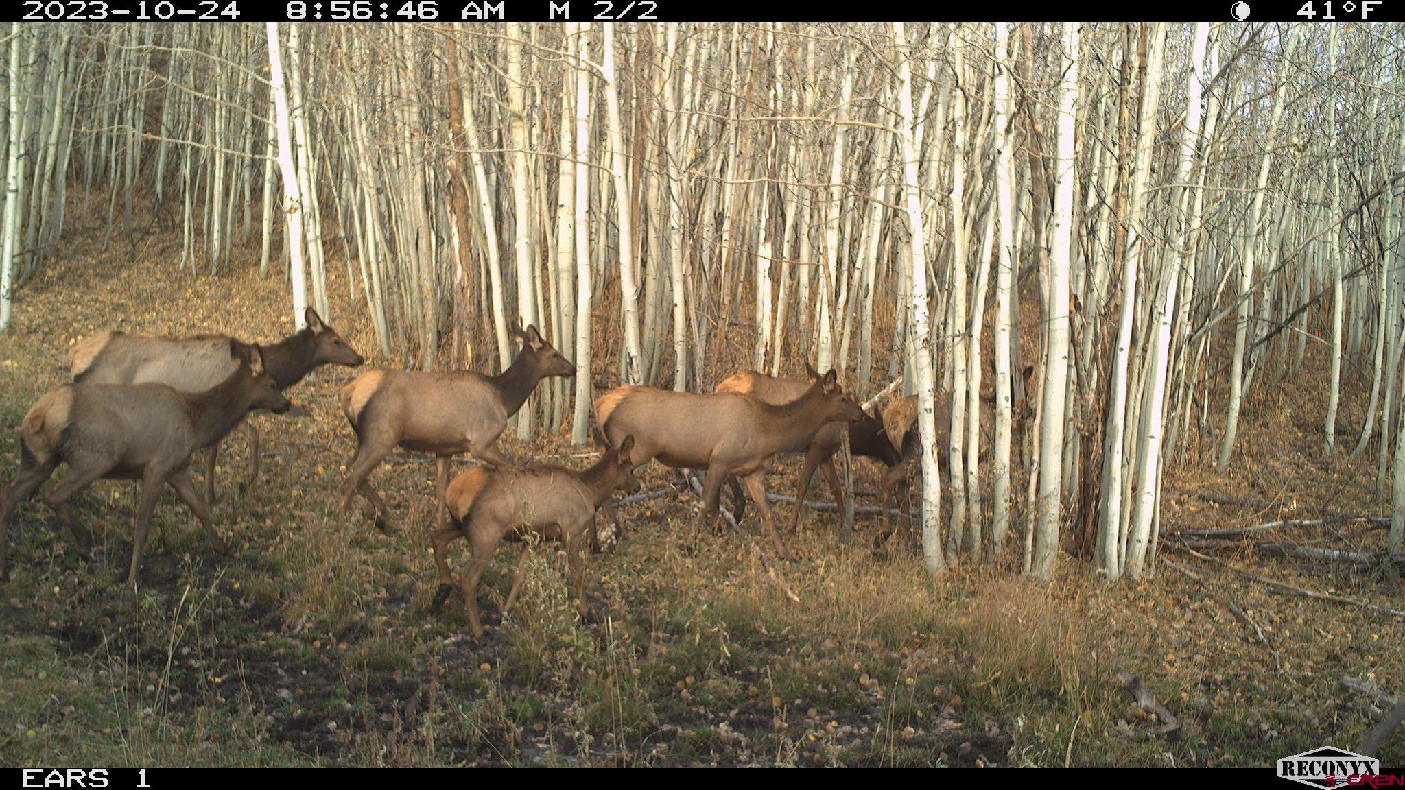 Tbd Divide Road Whitewater, CO 81527 - Photo 21 of 24 a view of a backyard with chairs