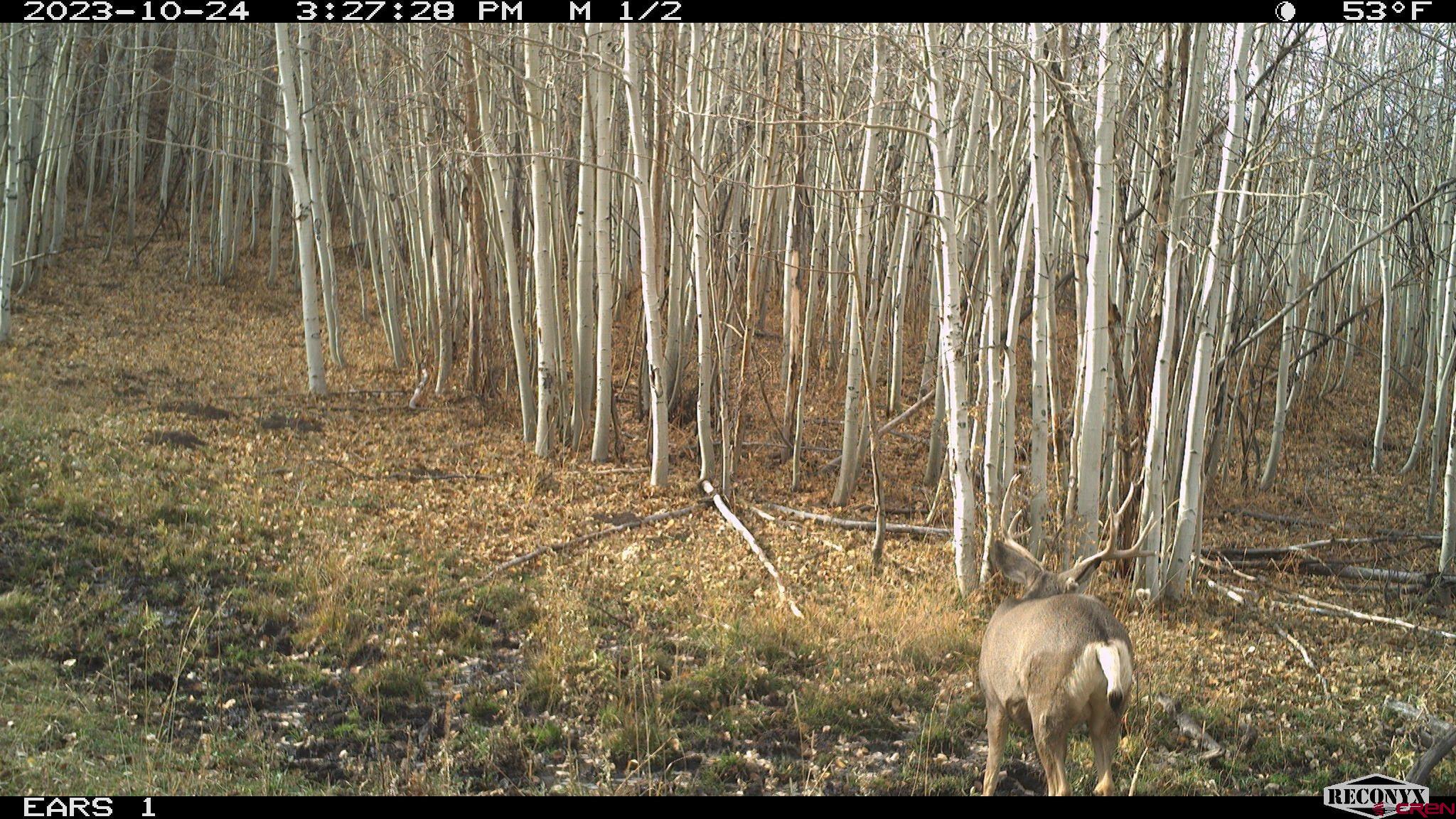 Tbd Divide Road Whitewater, CO 81527 - Photo 22 of 24 a view of wooden door