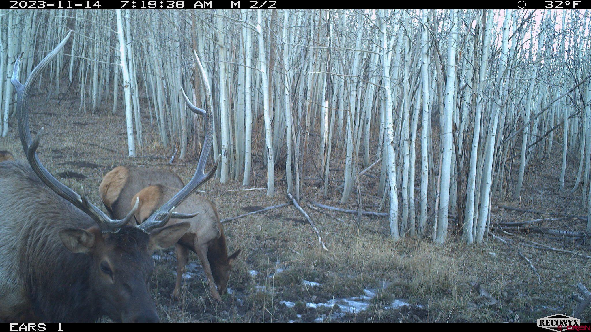 Tbd Divide Road Whitewater, CO 81527 - Photo 23 of 24 a view of a backyard with shower
