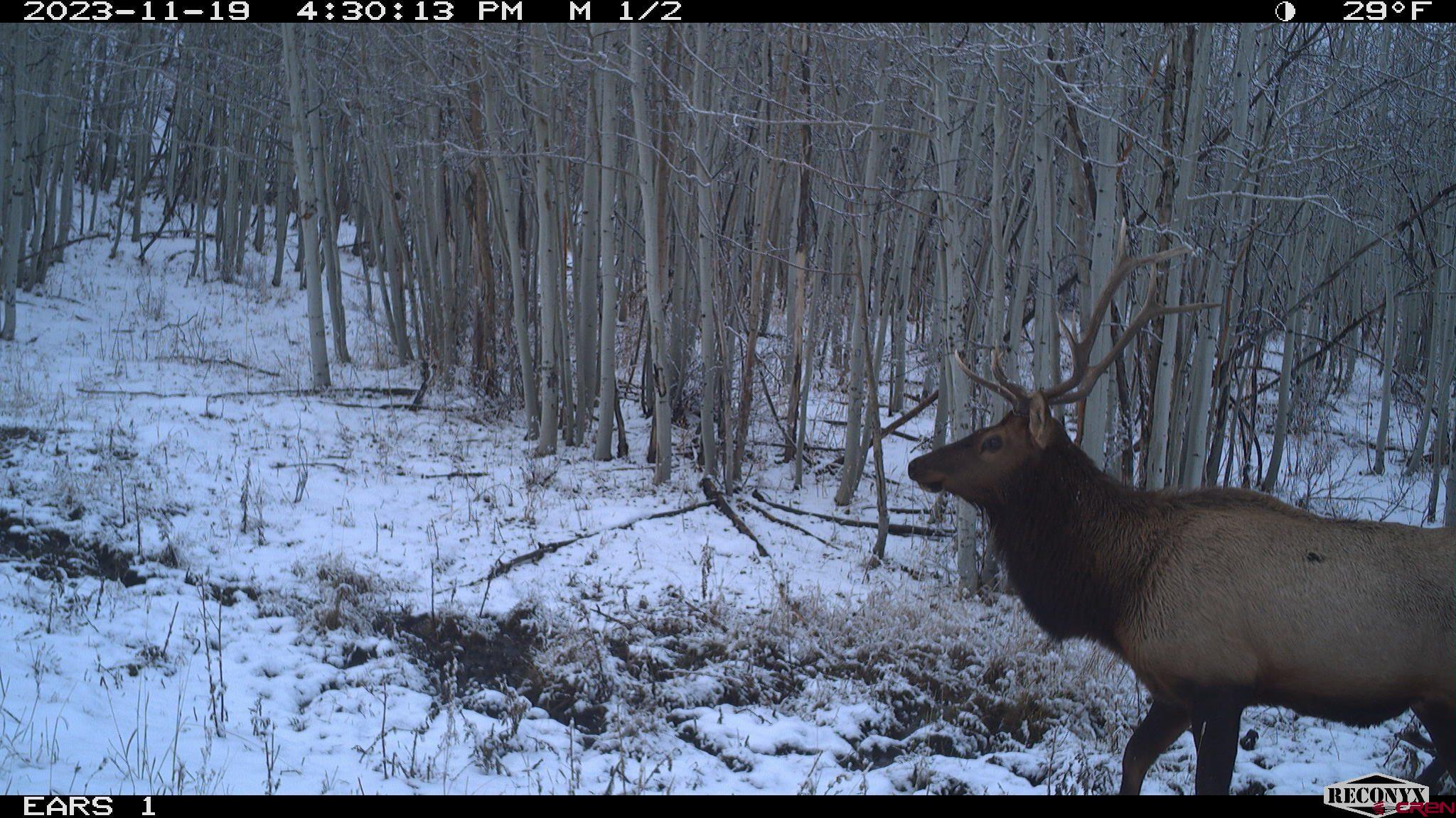 Tbd Divide Road Whitewater, CO 81527 - Photo 24 of 24 a view of a backyard