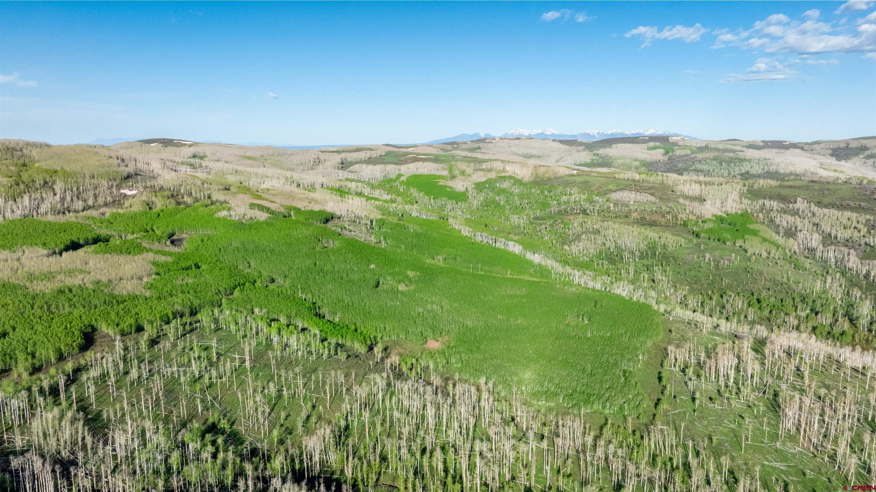 Tbd Divide Road Whitewater, CO 81527 - Photo 3 of 24 a view of city with lush green forest