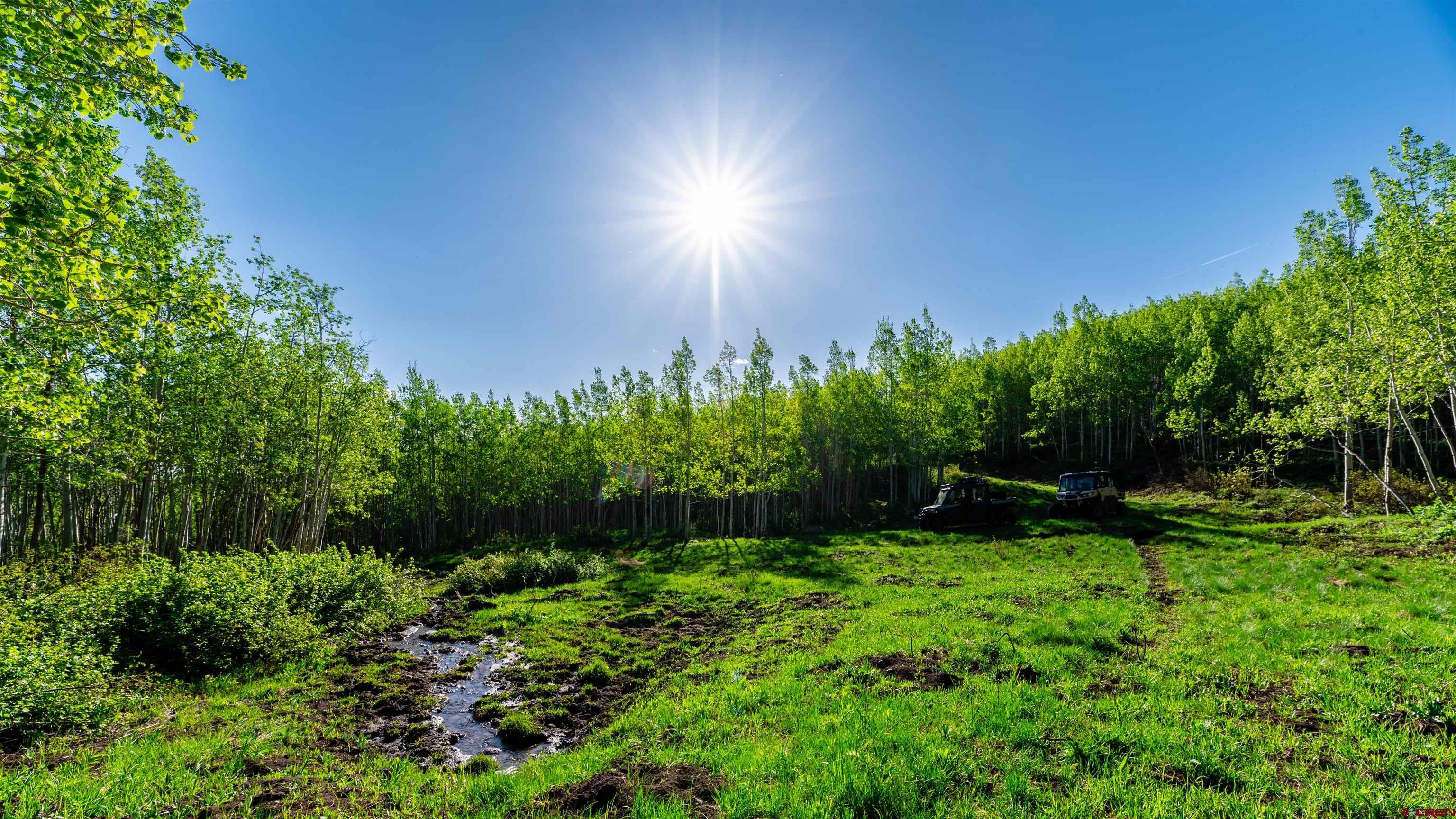 Tbd Divide Road Whitewater, CO 81527 - Photo 5 of 24 a backyard of a house with lots of green space and trees