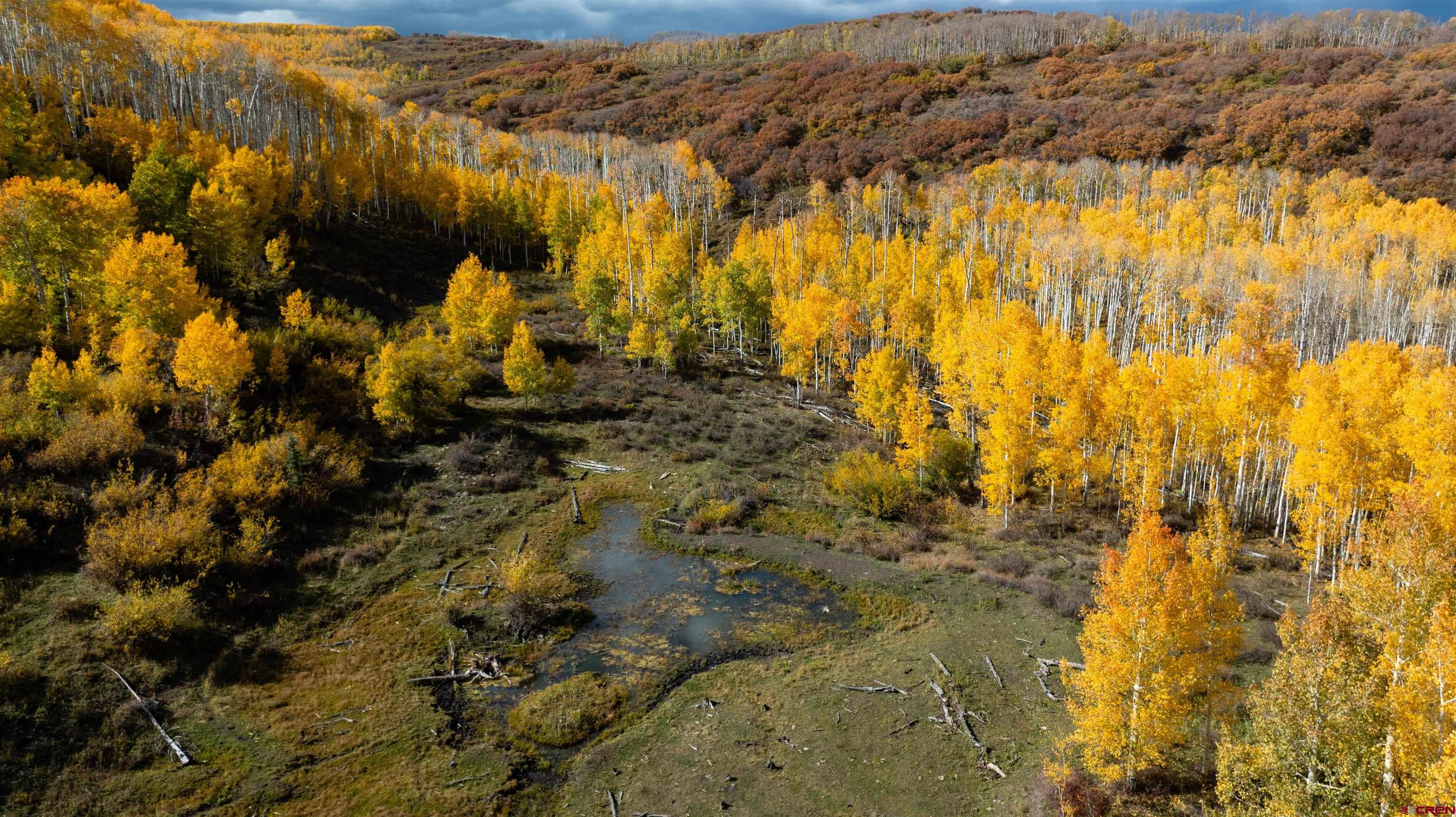 Tbd Divide Road Whitewater, CO 81527 - Photo 6 of 24 a view of lake view