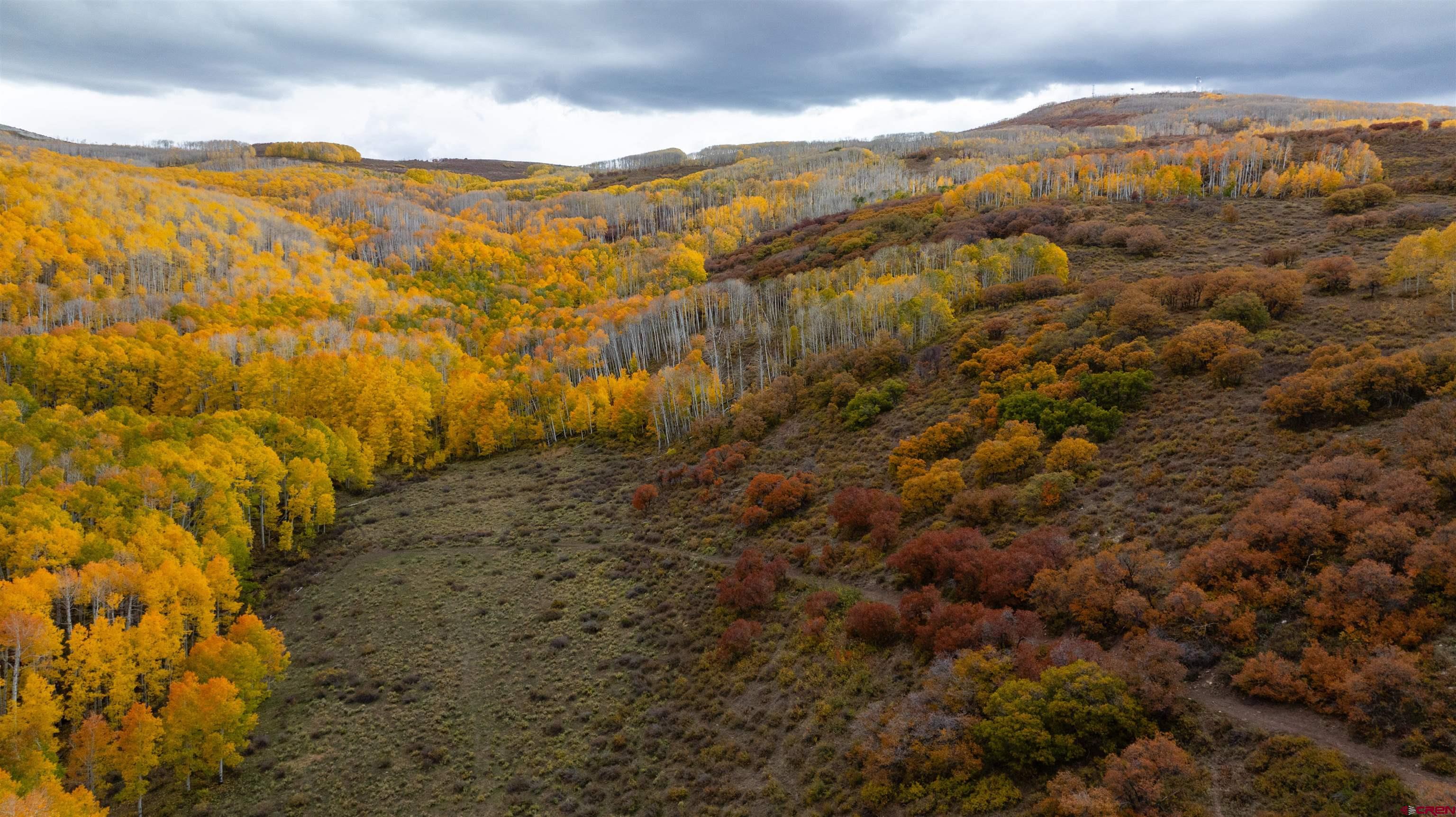 Tbd Divide Road Whitewater, CO 81527 - Photo 7 of 24 a view of mountain view