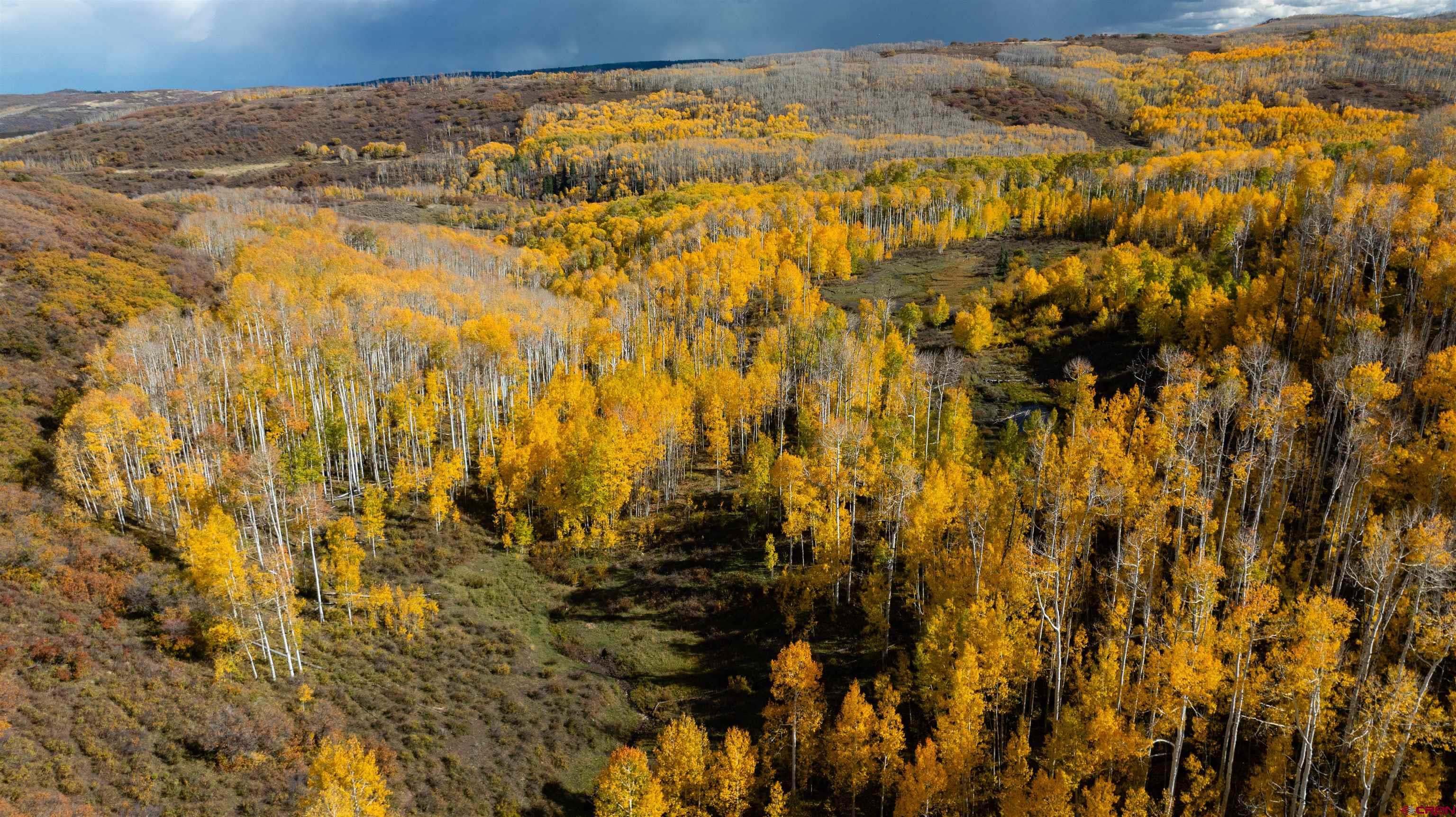 Tbd Divide Road Whitewater, CO 81527 - Photo 8 of 24 a view of residential houses