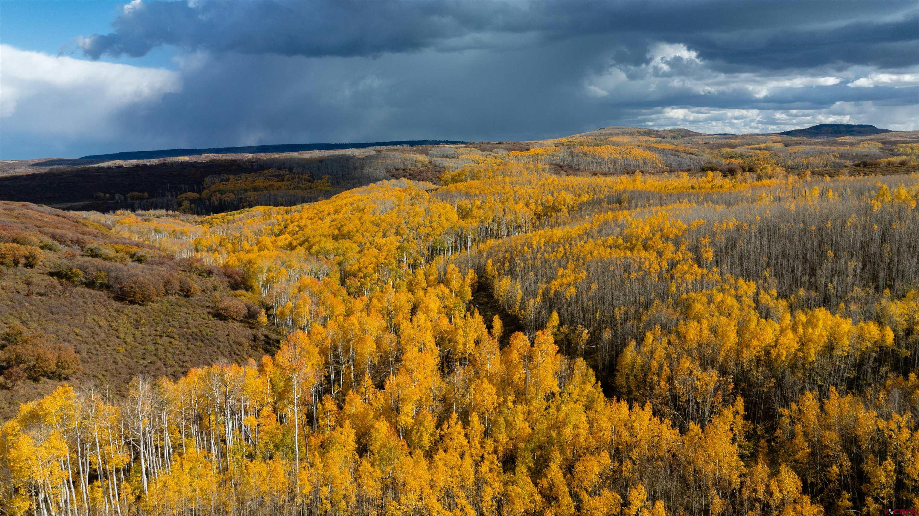 Tbd Divide Road Whitewater, CO 81527 - Photo 9 of 24