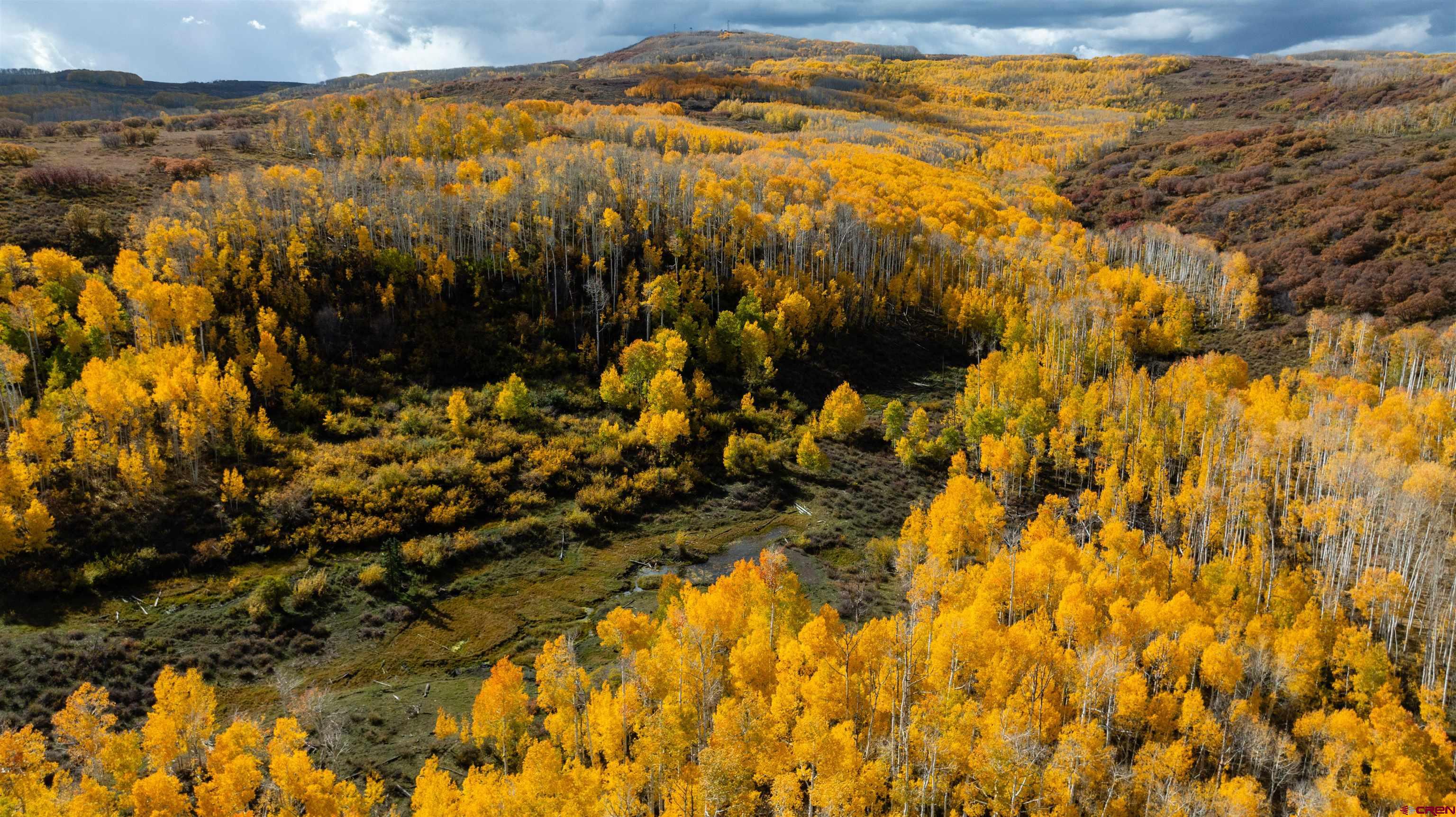 Tbd Divide Road Whitewater, CO 81527 - Photo 10 of 24 a view of lake view