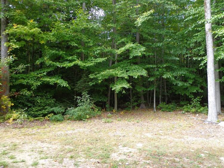 78 Pollard Road Lincoln, NH 03251 - Photo 19 of 21 Gallery Image 19