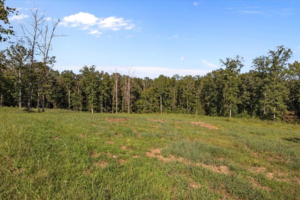 129 Upper Alsup Road Tennessee Ridge, TN 37178 - Photo 38 of 59 Gallery Image 38