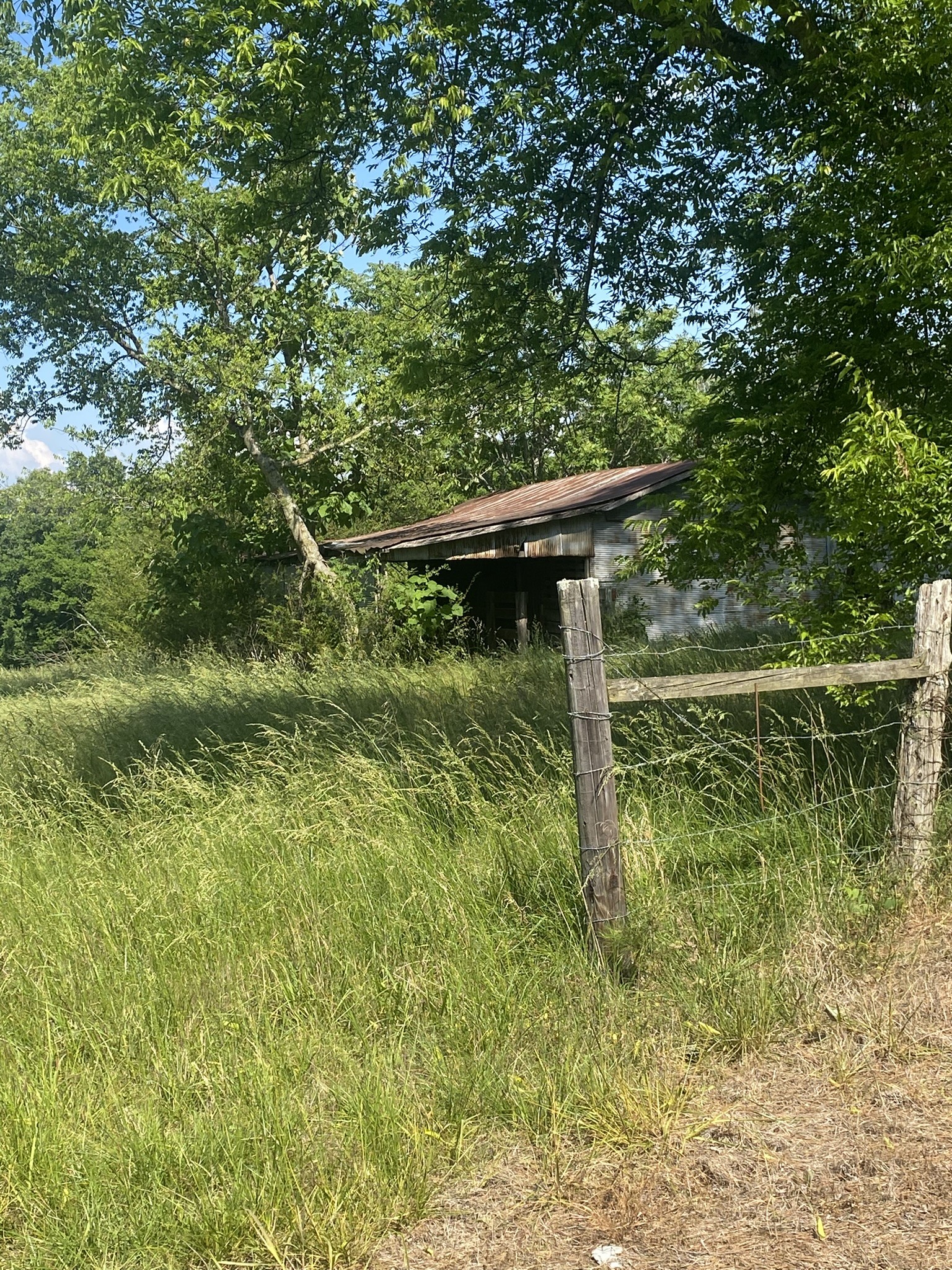 656 County Road Anderson, AL 35610 - Photo 7 of 15 a backyard of a house with lots of green space and plants