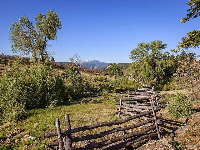 a view of a backyard with sitting area