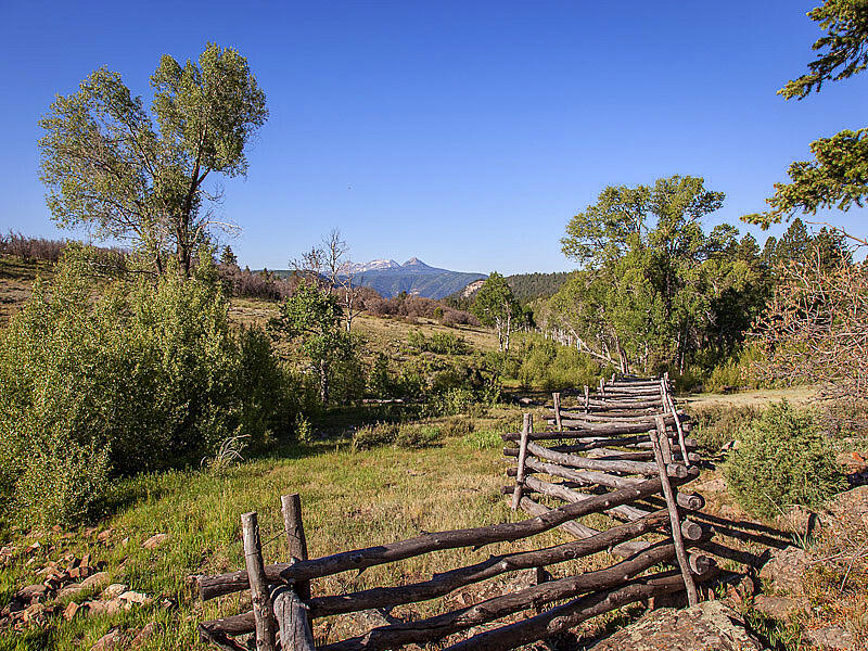 484 Gutshall Lane Placerville, CO 81430 - Photo 26 of 32 a view of a backyard with sitting area