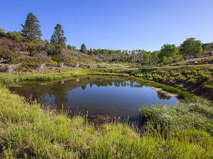 a view of lake with houses in the back