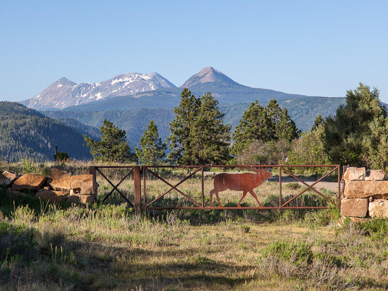 484 Gutshall Lane Placerville, CO 81430 - Photo 28 of 32 a view of a lake with a mountain in the background